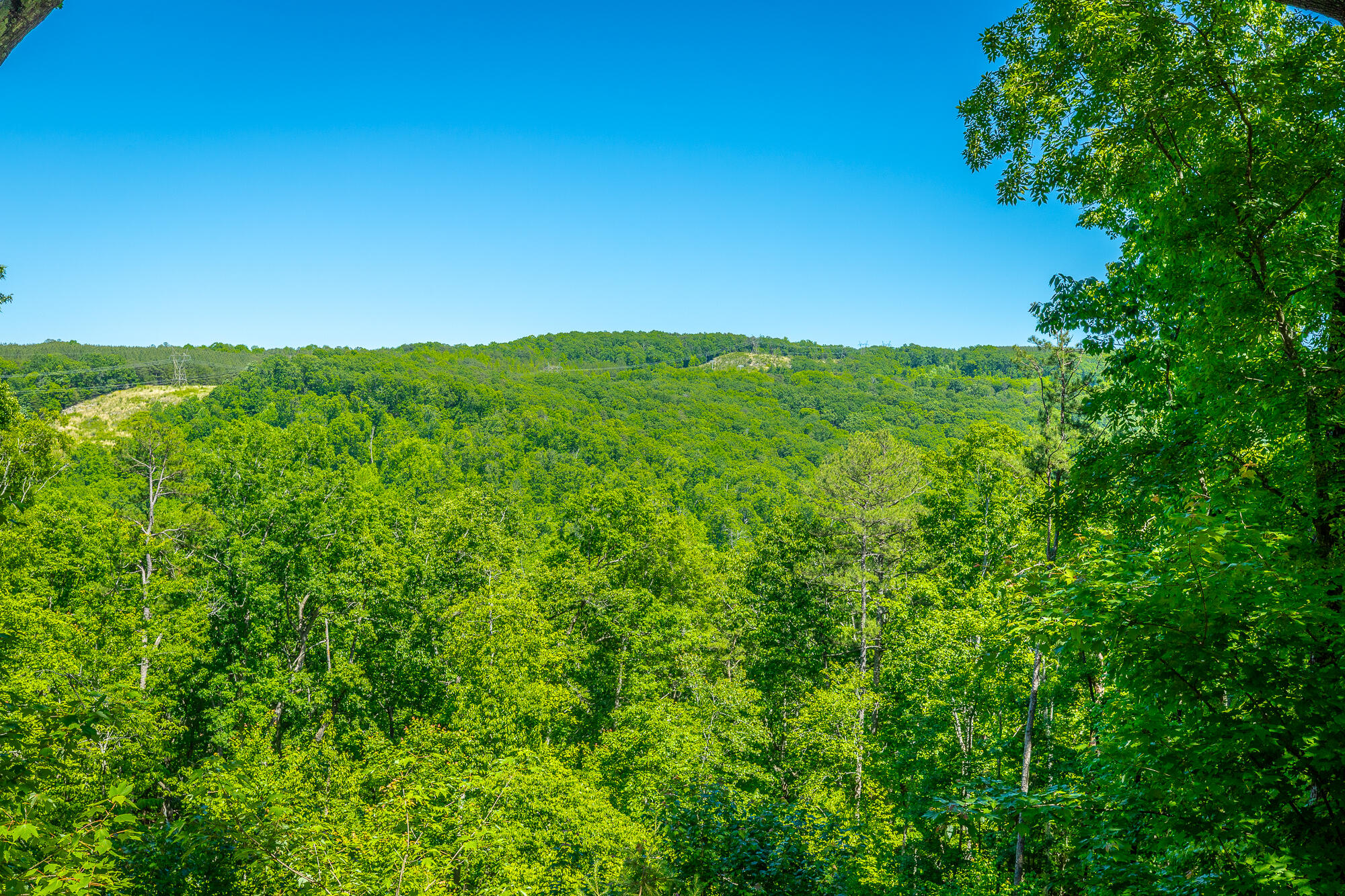 0 Split Rail Way, Unit 1349 Guild, TN 37340 - Photo 1 of 108 0 Split Rail Way - Lot 1349 HD-66