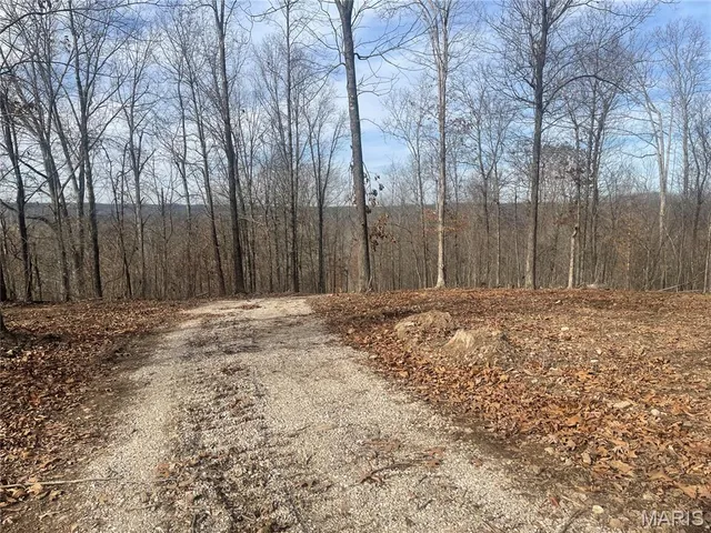 $165,000 | 0 Highway W Poplar Bluff, Poplar Bluff, MO 63901