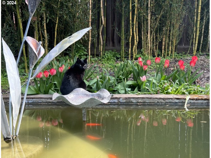 2631 Moon Mountain Drive Eugene, OR 97403 - Photo 32 of 35