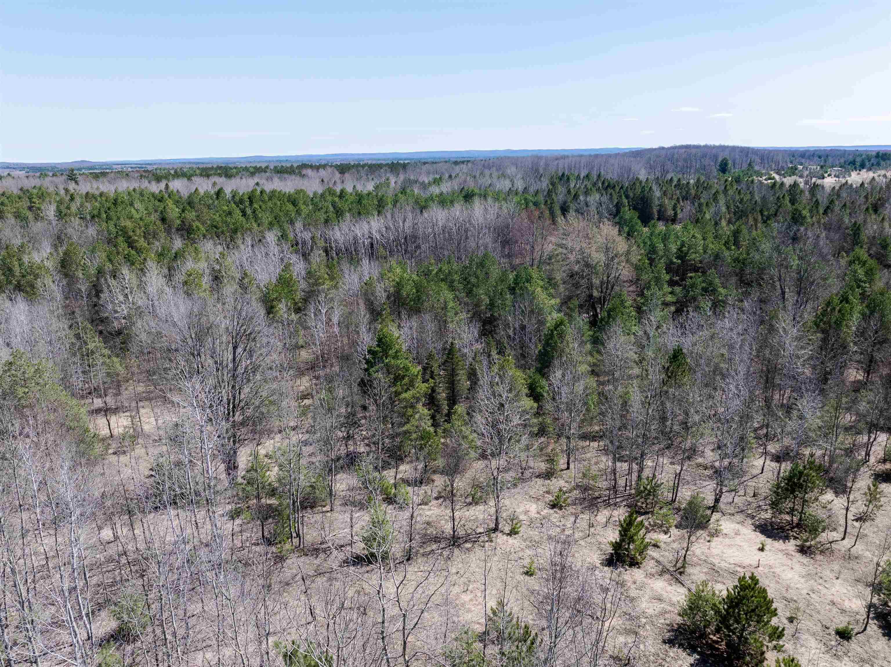3775 West County Line Road Buckley, MI 49620 - Photo 11 of 28