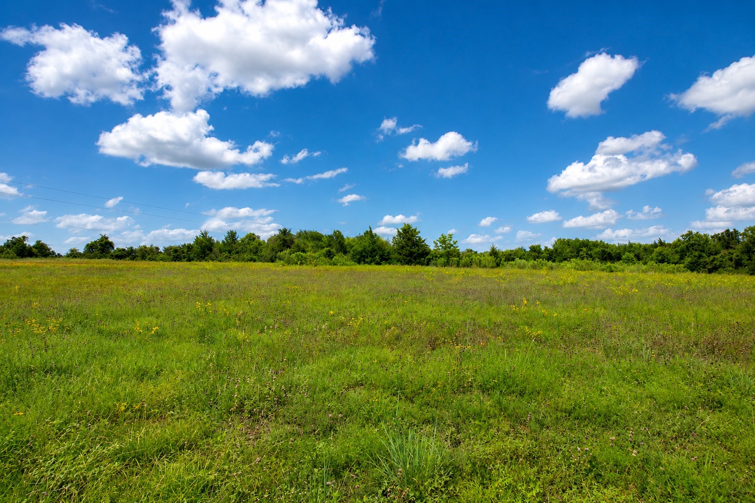 3827 Felder Road Washington, TX 77880 - Photo 4 of 8 a view of a lake