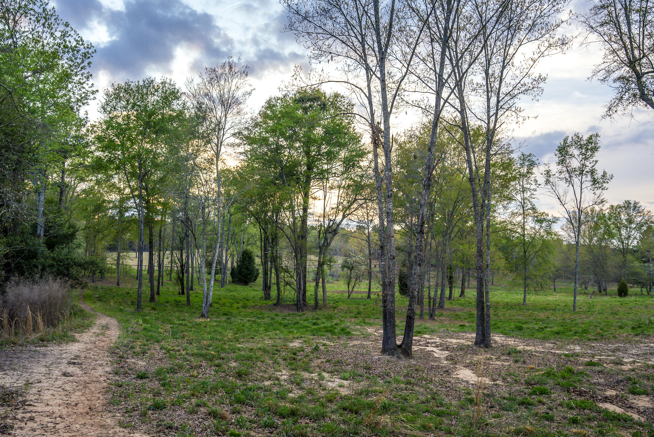 0 Implement Road Aiken, SC 29803 - Photo 19 of 38 a view of outdoor space with tree s