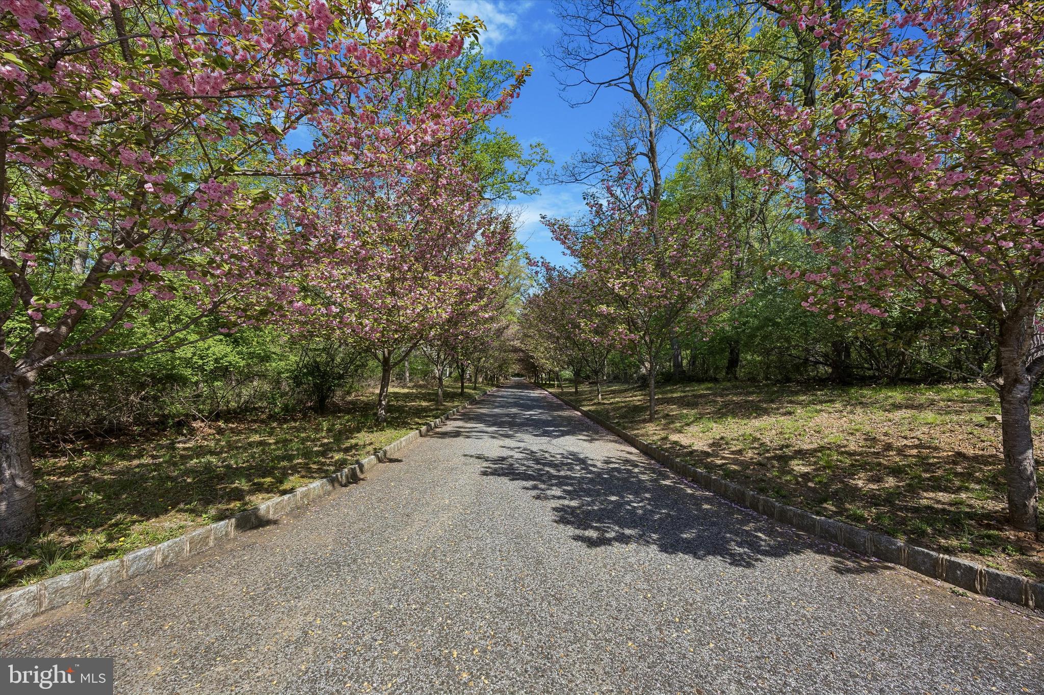 3882 Gradyville Road Newtown Square, PA 19073 - Photo 1 of 12