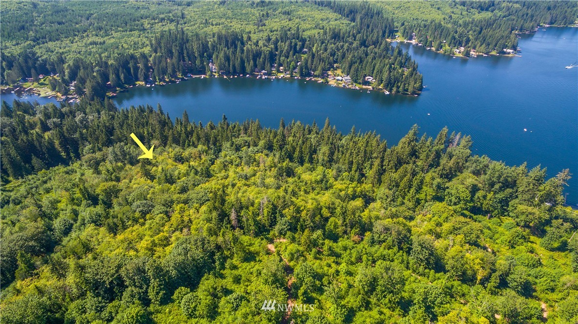 239-xx South Lake Roesiger Road Snohomish, WA 98290 - Photo 3 of 8