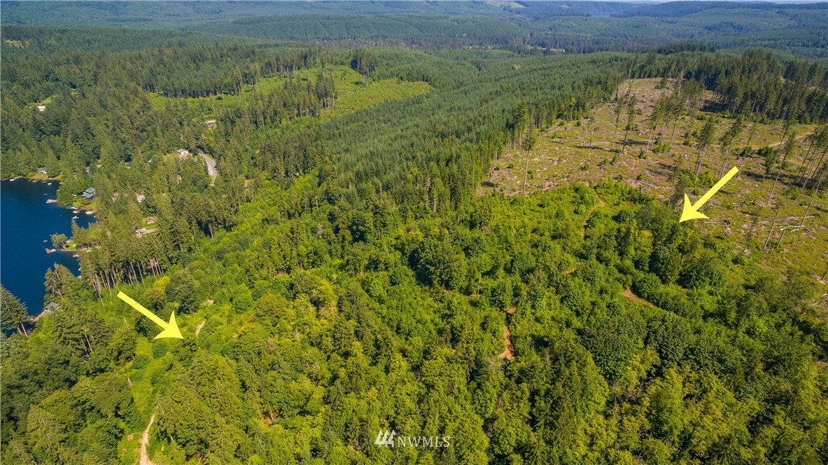 239-xx South Lake Roesiger Road Snohomish, WA 98290 - Photo 5 of 8