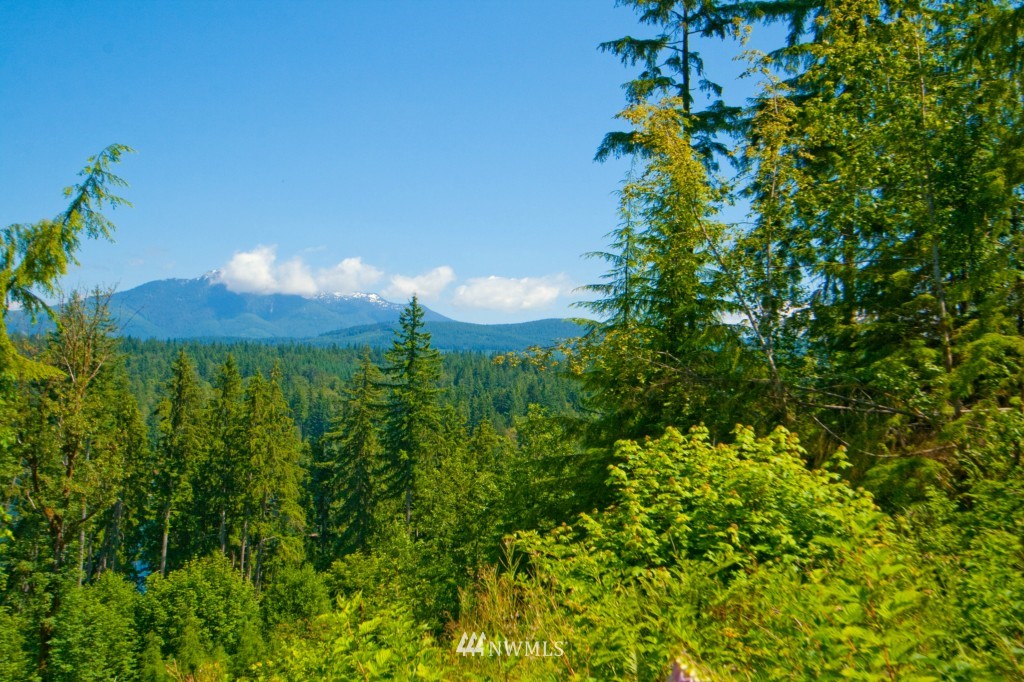 239-xx South Lake Roesiger Road Snohomish, WA 98290 - Photo 7 of 8