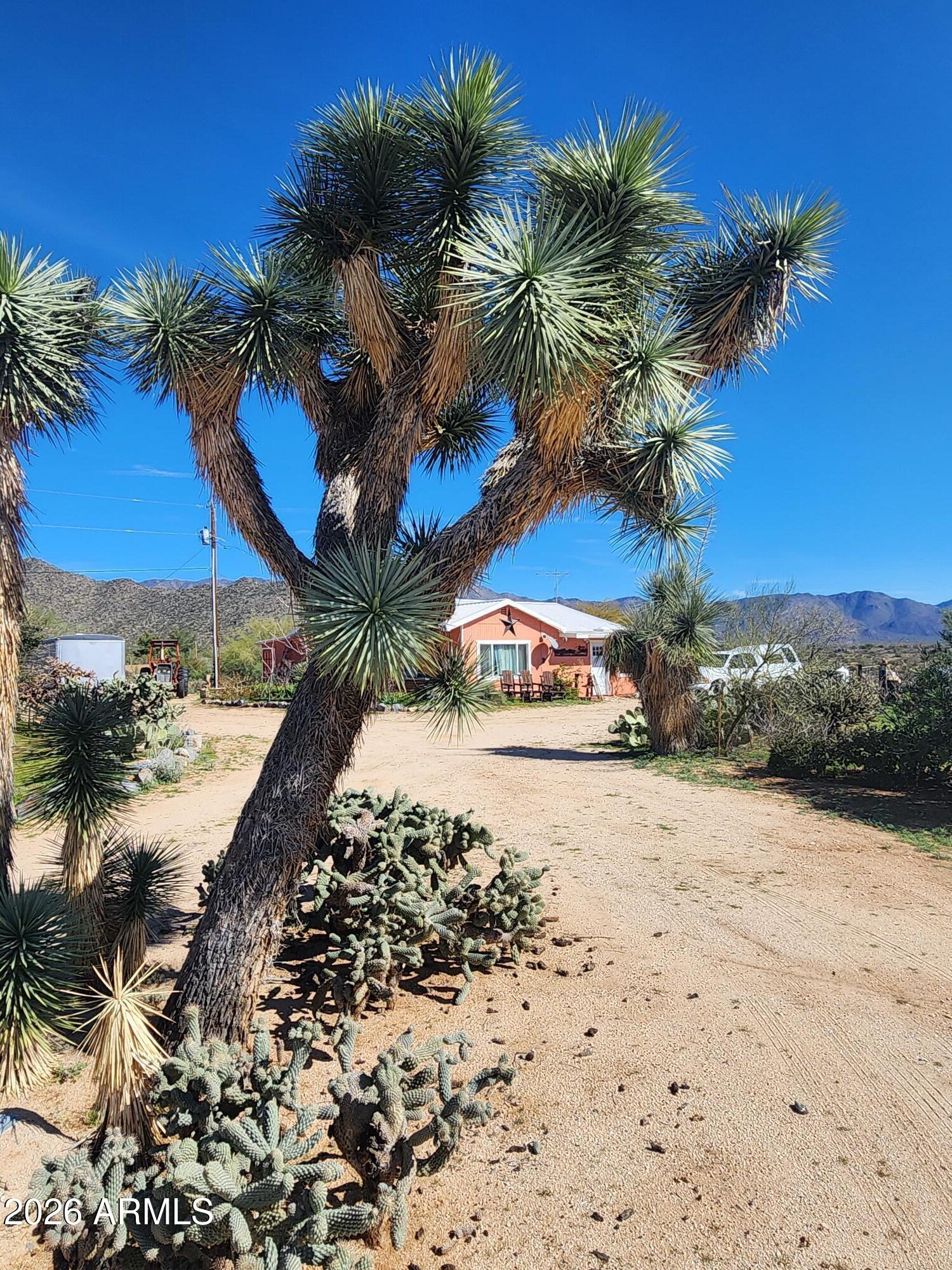 26115 Ghost Town Road Congress, AZ 85332 - Photo 28 of 64 a view of a backyard of a house