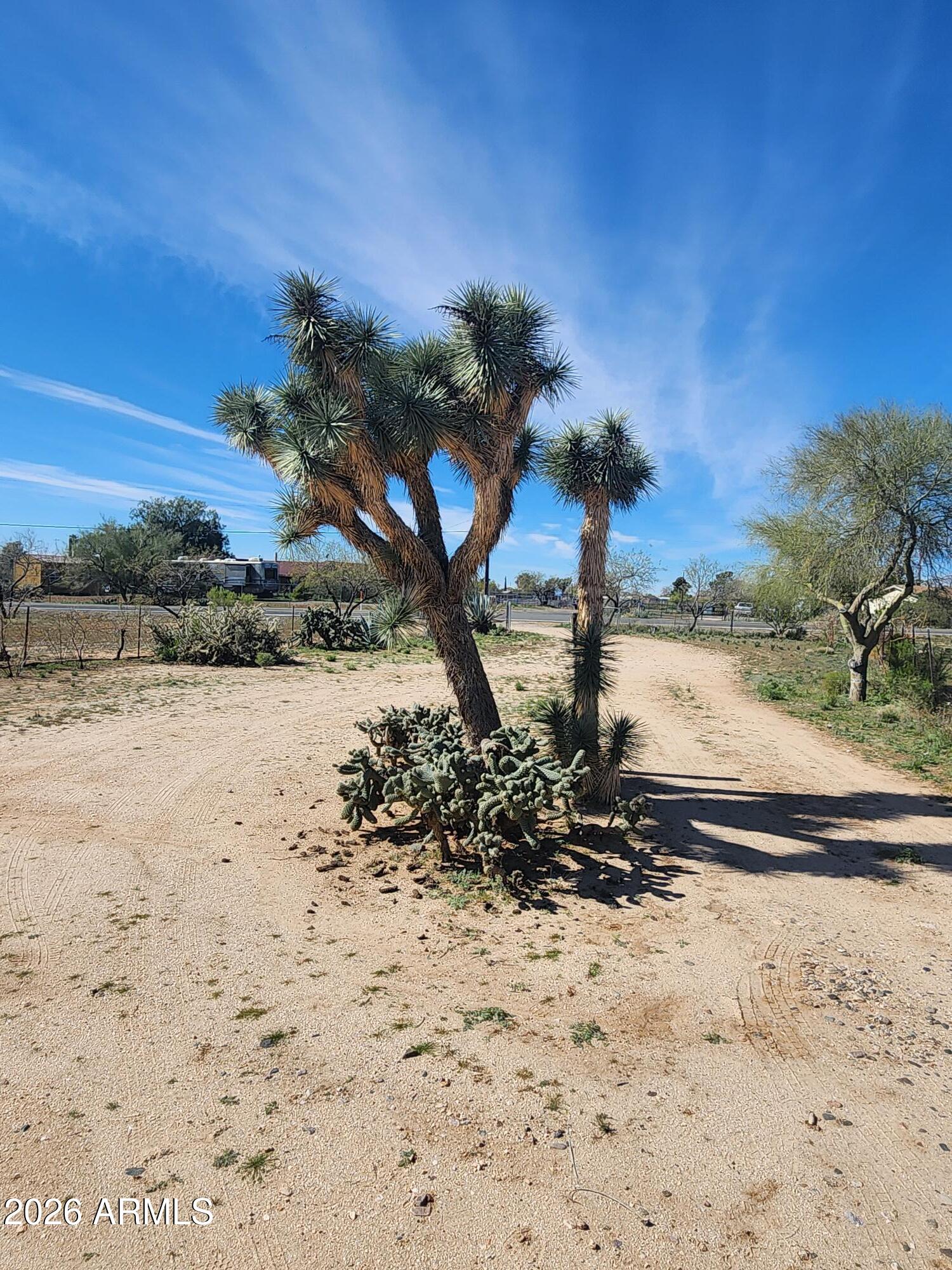 26115 Ghost Town Road Congress, AZ 85332 - Photo 30 of 64 a view of a yard with a tree