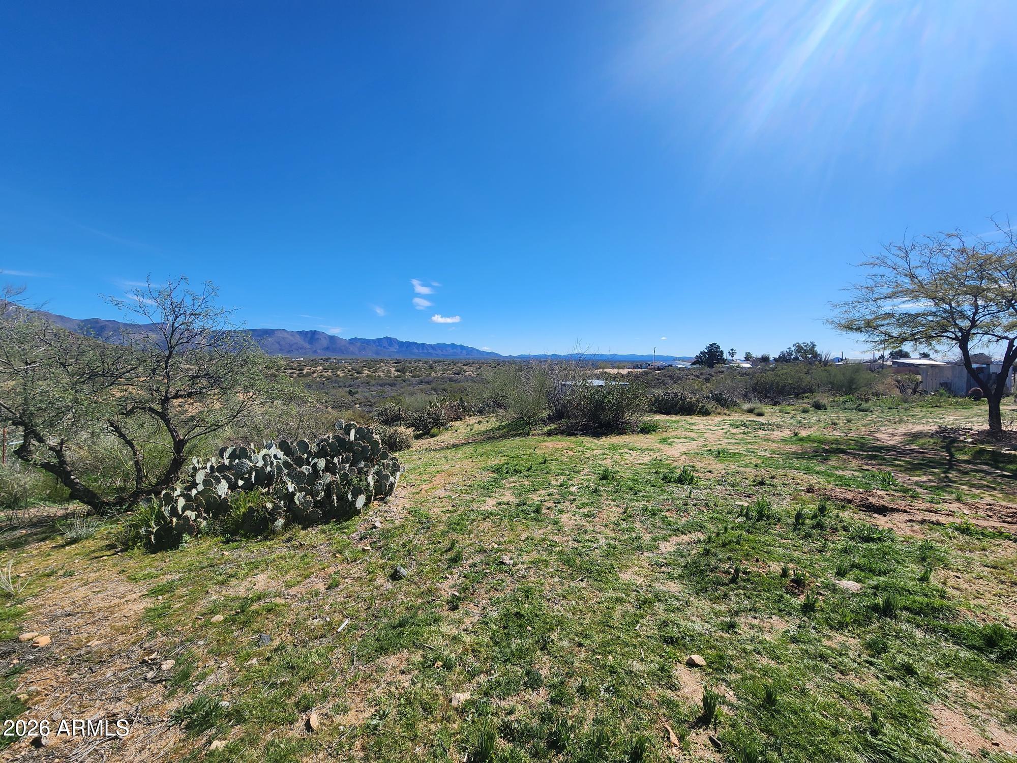 26115 Ghost Town Road Congress, AZ 85332 - Photo 61 of 64 a view of a forest with trees in the background