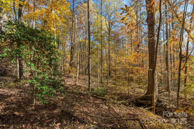 a view of a yard with trees