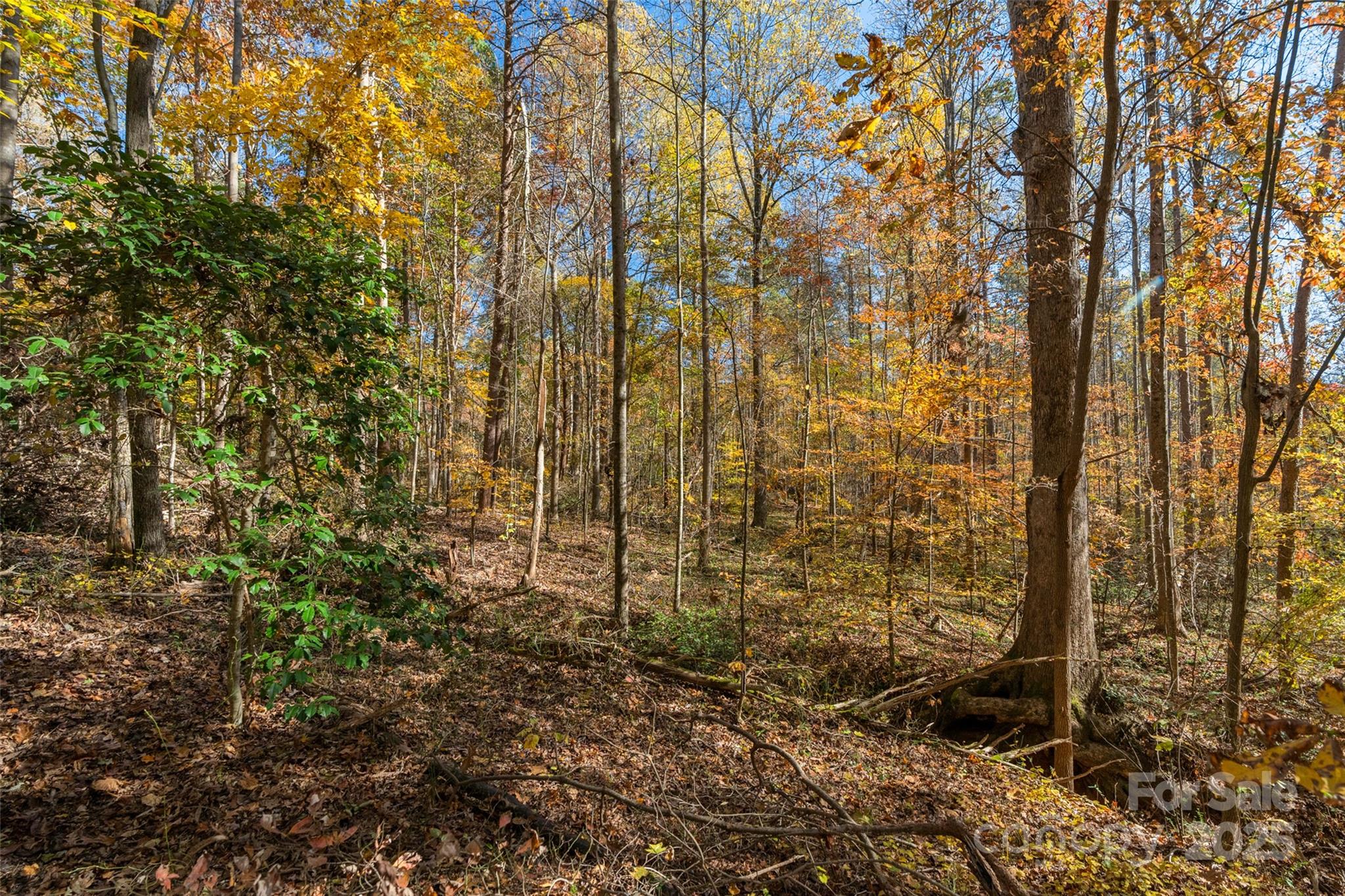 0 Bud Davis Road, Unit 4 Vale, NC 28168 - Photo 15 of 22 a view of a garden