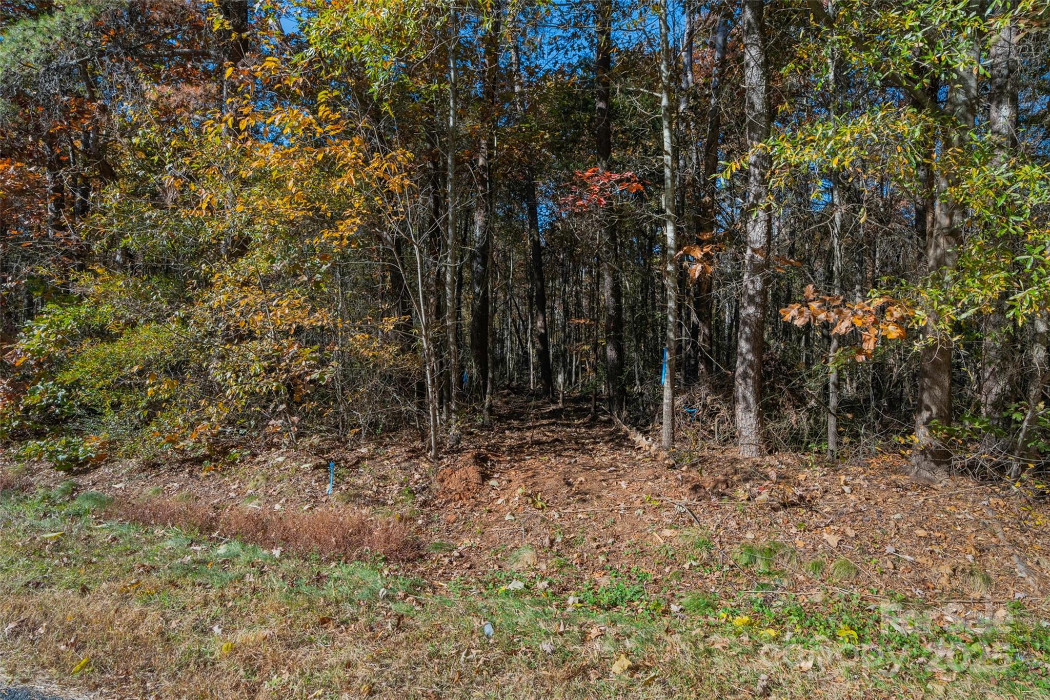 0 Bud Davis Road, Unit 4 Vale, NC 28168 - Photo 16 of 22 a view of a yard with trees