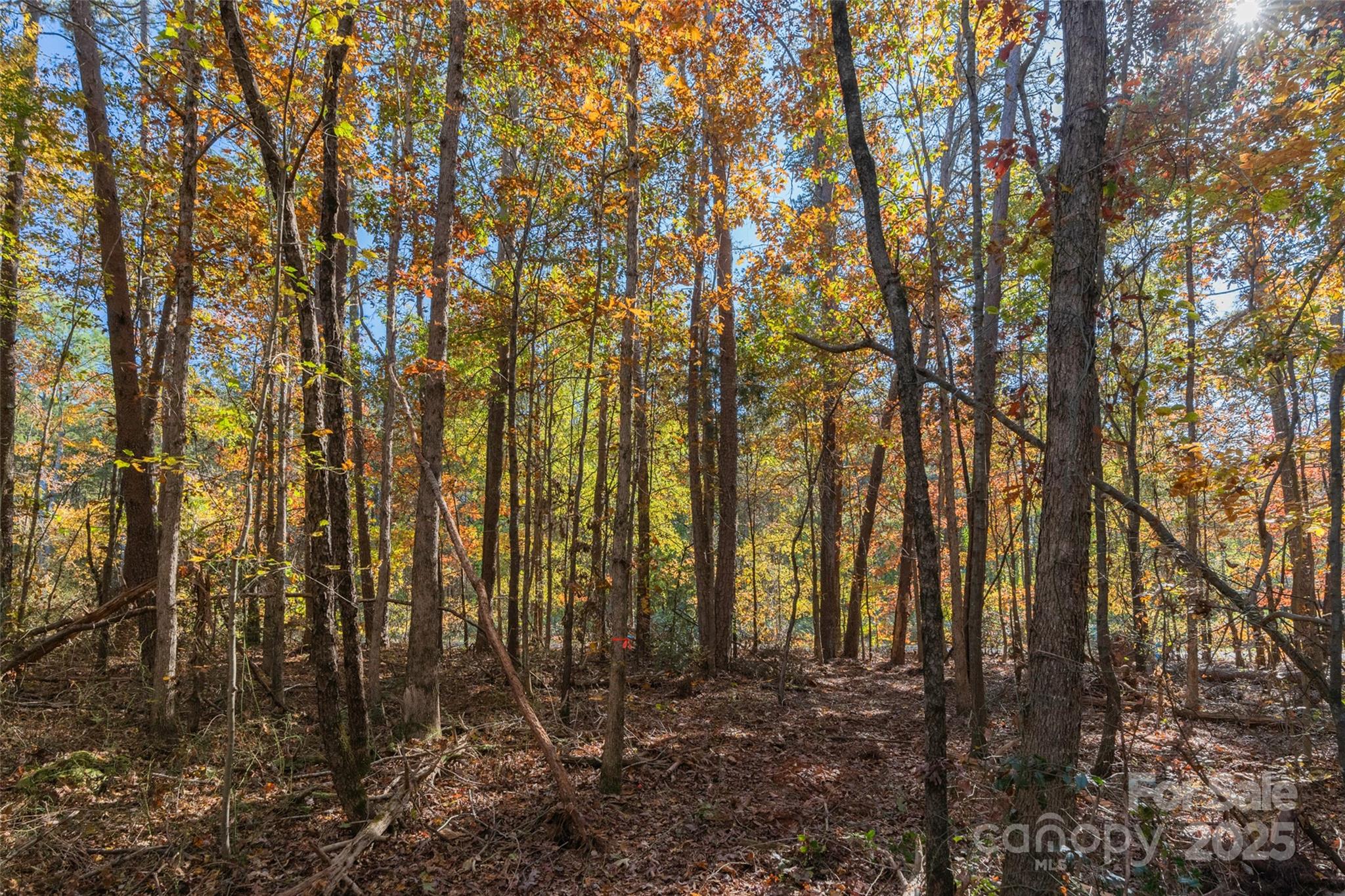 0 Bud Davis Road, Unit 4 Vale, NC 28168 - Photo 20 of 22 a view of a backyard of the house