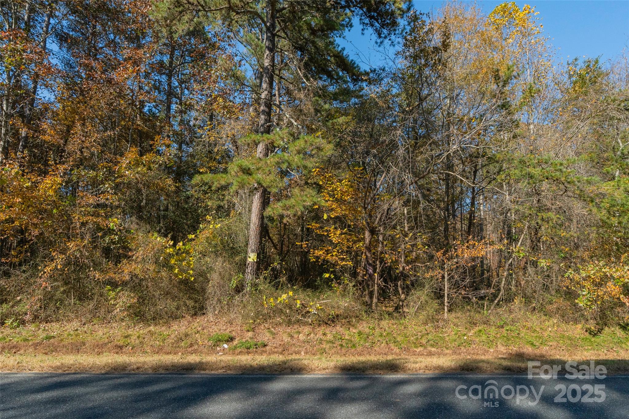 0 Bud Davis Road, Unit 4 Vale, NC 28168 - Photo 21 of 22 a view of a yard