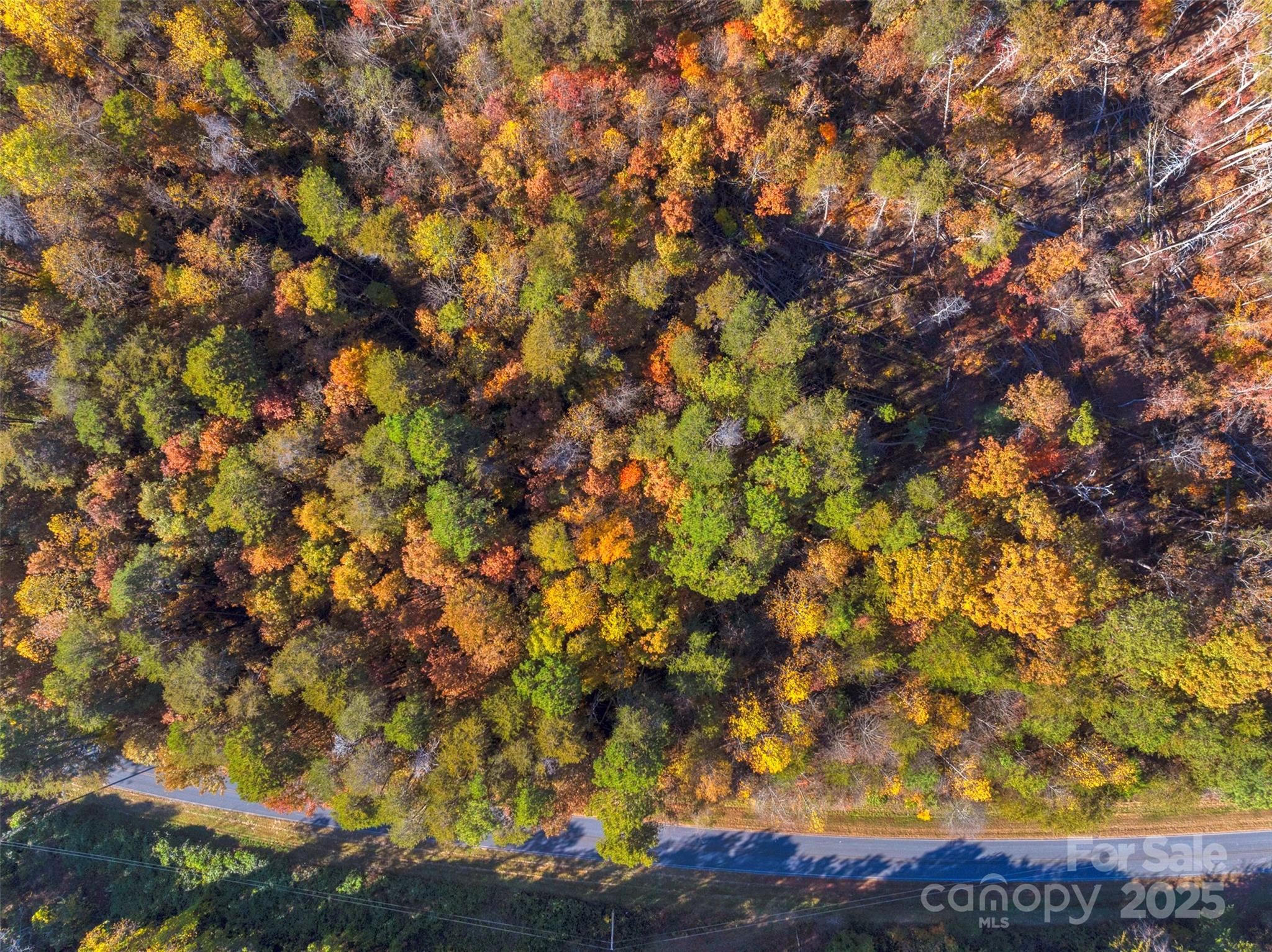 0 Bud Davis Road, Unit 4 Vale, NC 28168 - Photo 22 of 22 a view of a tree