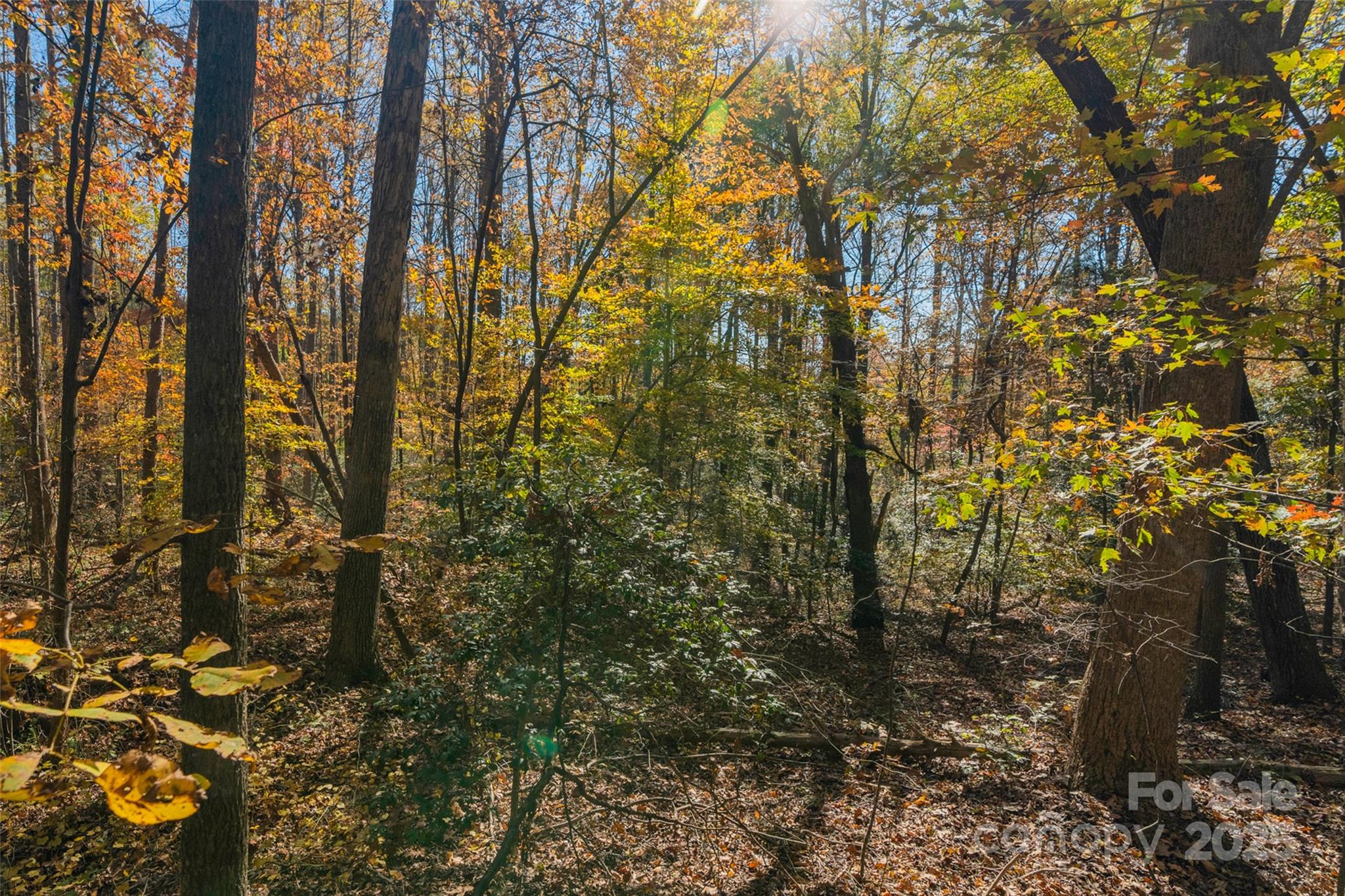 0 Bud Davis Road, Unit 4 Vale, NC 28168 - Photo 7 of 22