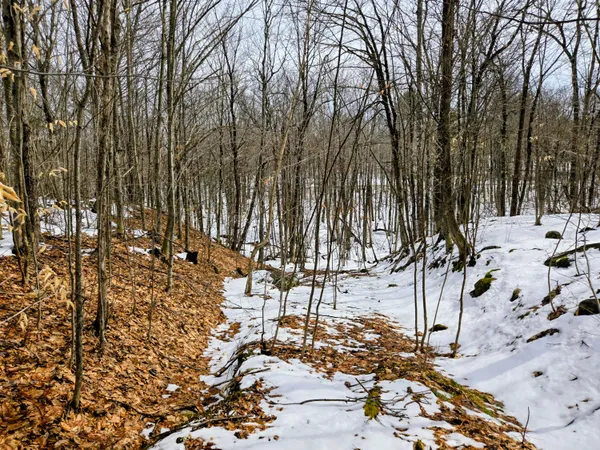 $45,000 | Lot 26 Canton Mountain Road, Jay, ME 04239