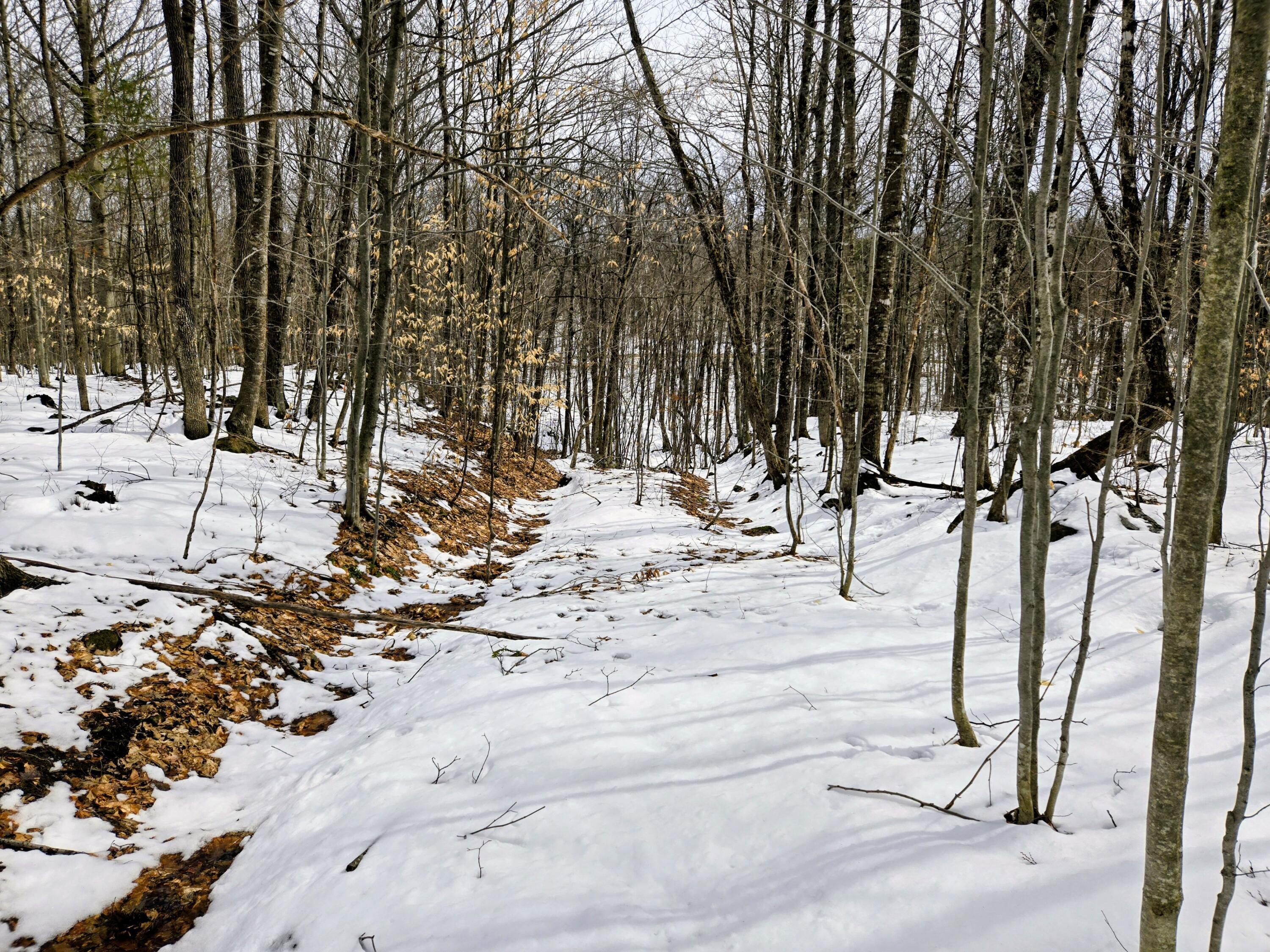 Lot 26 Canton Mountain Road Jay, ME 04239 - Photo 12 of 25 Lot 26 Canton Mountain Road