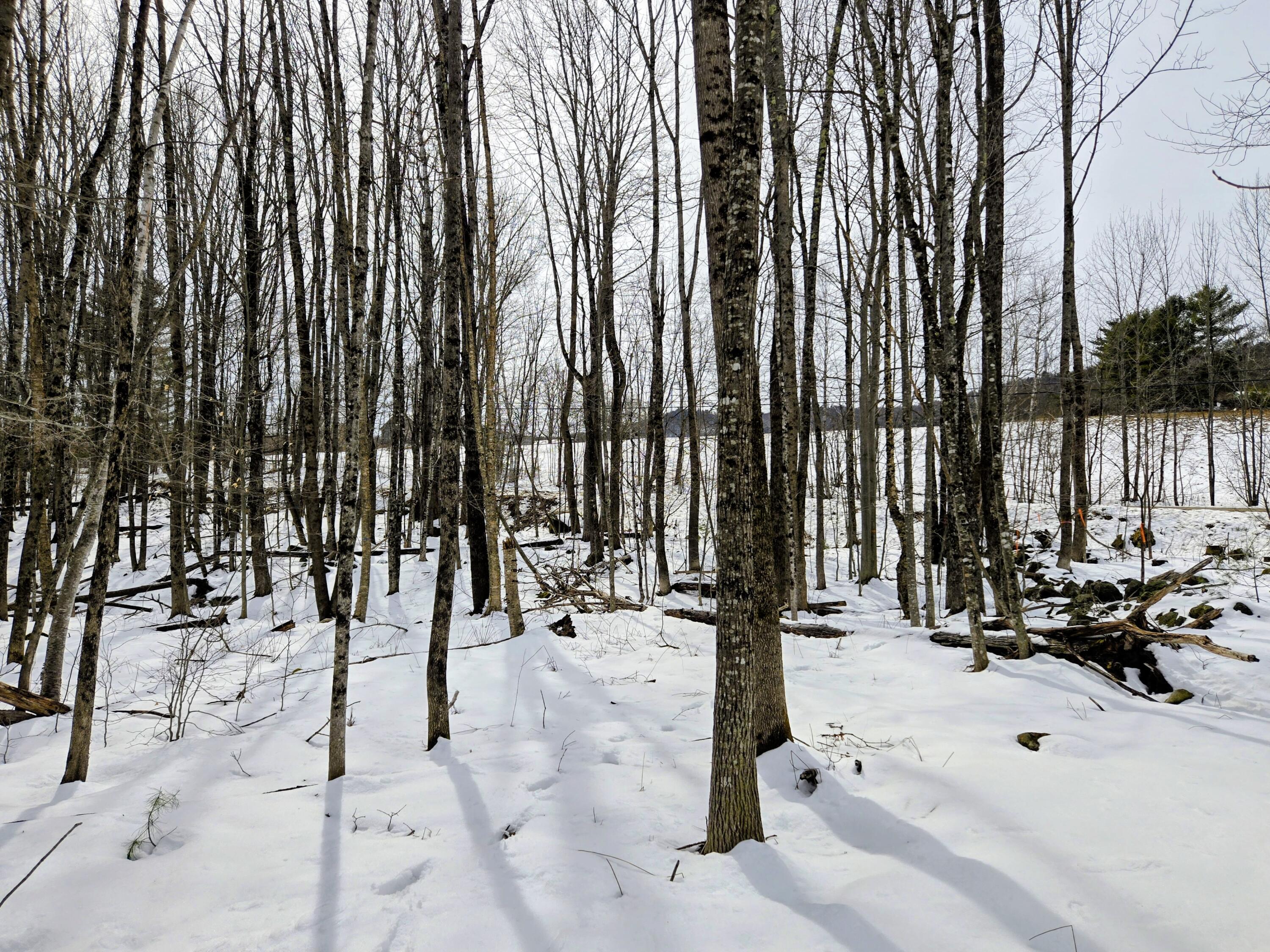 Lot 26 Canton Mountain Road Jay, ME 04239 - Photo 12 of 35 Lot 26 Canton Mountain Road