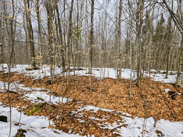 $45,000 | Lot 26 Canton Mountain Road, Jay, ME 04239