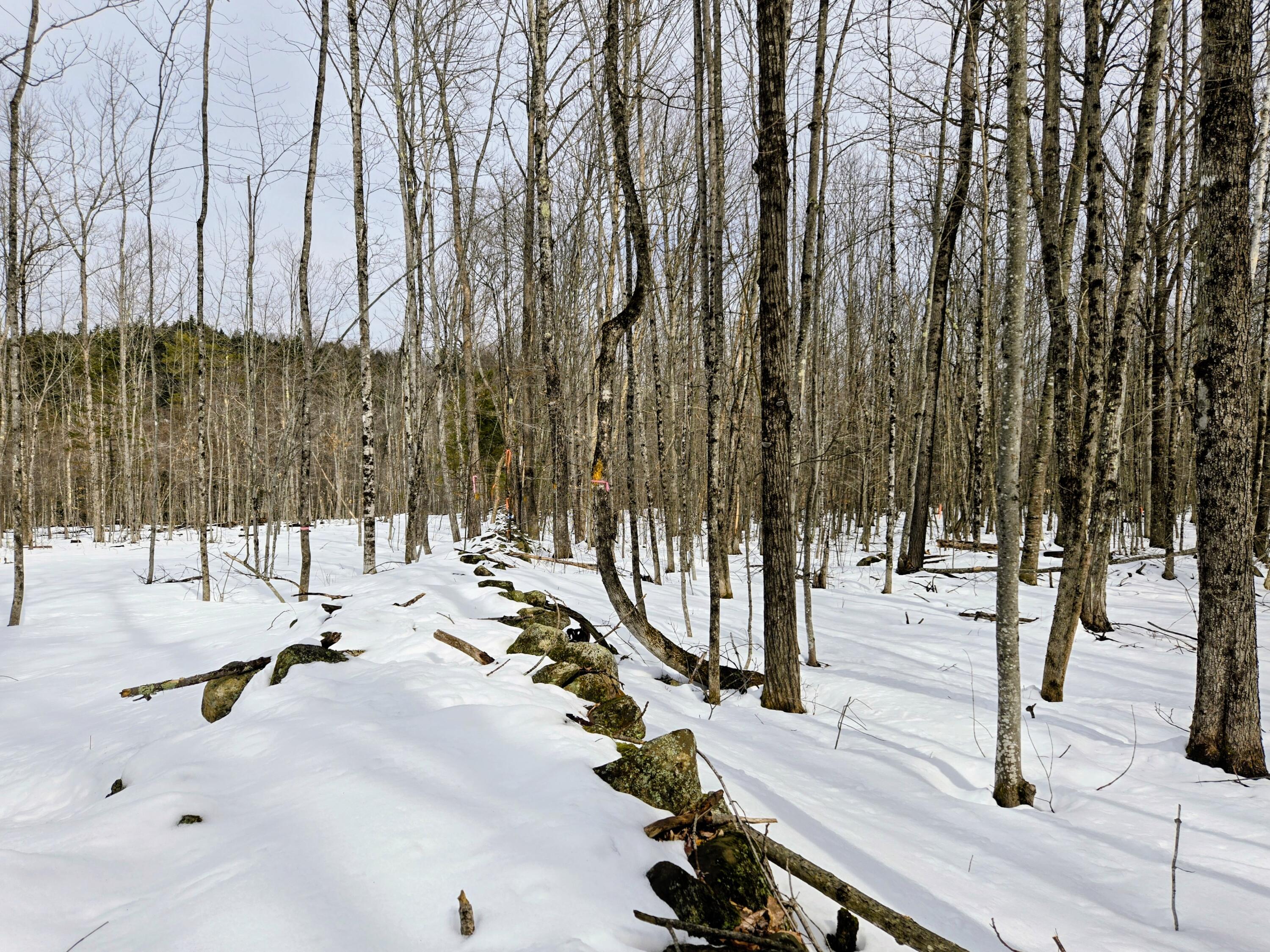 Lot 26 Canton Mountain Road Jay, ME 04239 - Photo 14 of 35 Lot 26 Canton Mountain Road