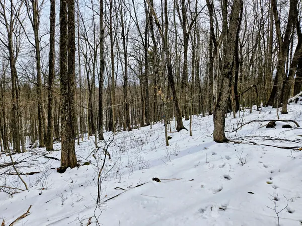 $45,000 | Lot 26 Canton Mountain Road, Jay, ME 04239