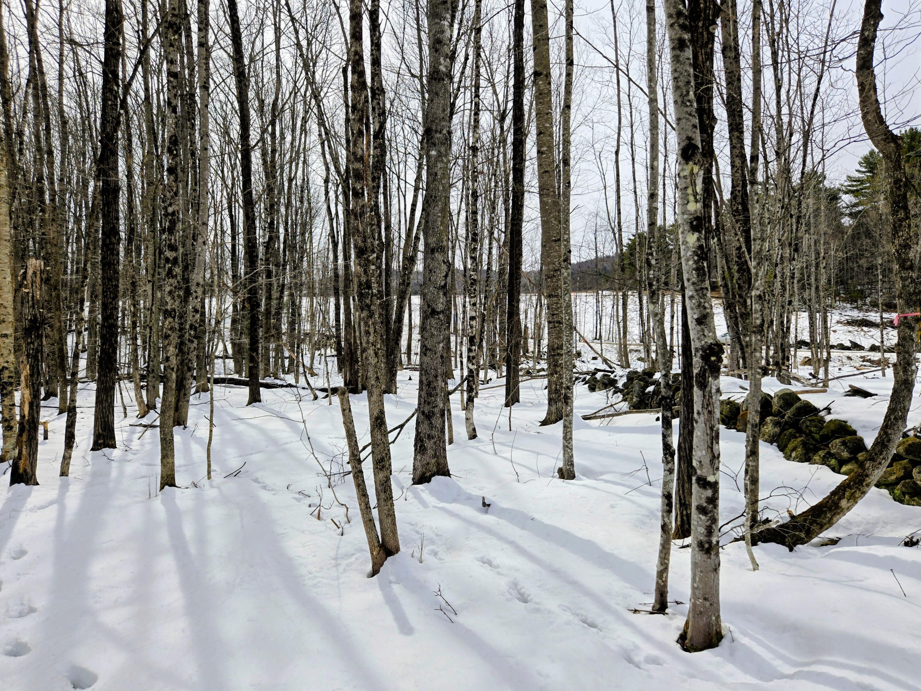 Lot 26 Canton Mountain Road Jay, ME 04239 - Photo 16 of 35 Lot 26 Canton Mountain Road