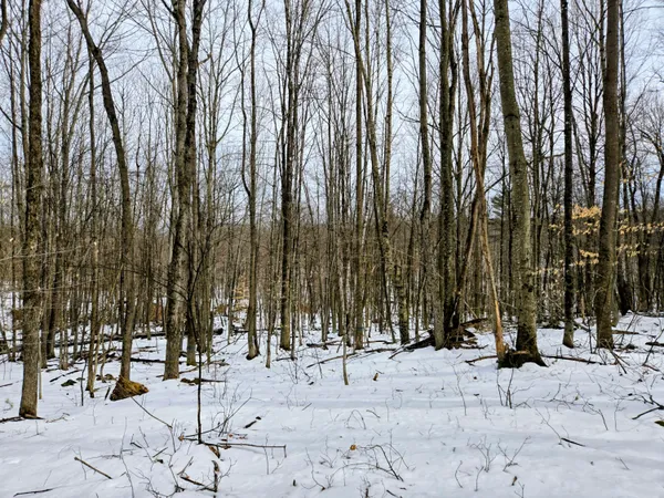 $45,000 | Lot 26 Canton Mountain Road, Jay, ME 04239