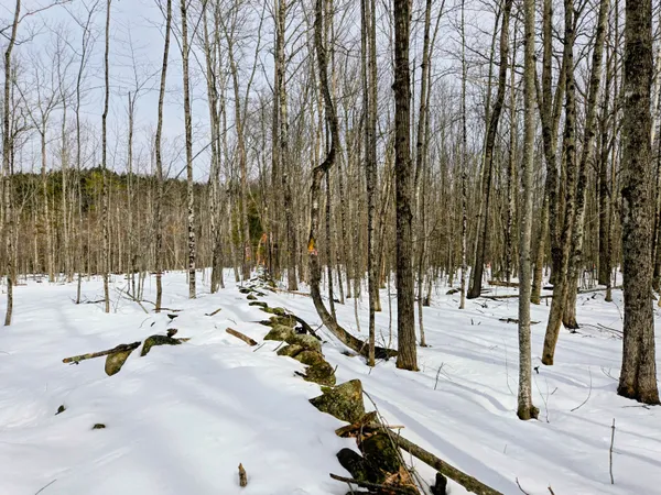 $45,000 | Lot 26 Canton Mountain Road, Jay, ME 04239