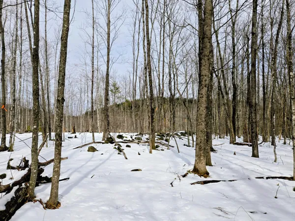 $45,000 | Lot 26 Canton Mountain Road, Jay, ME 04239