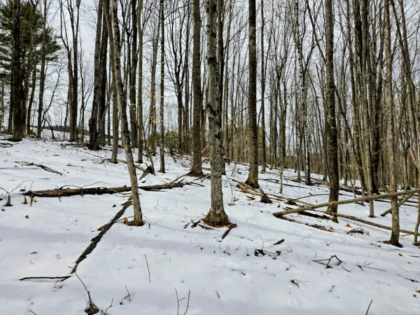 $45,000 | Lot 26 Canton Mountain Road, Jay, ME 04239