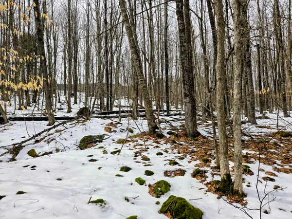 $45,000 | Lot 26 Canton Mountain Road, Jay, ME 04239