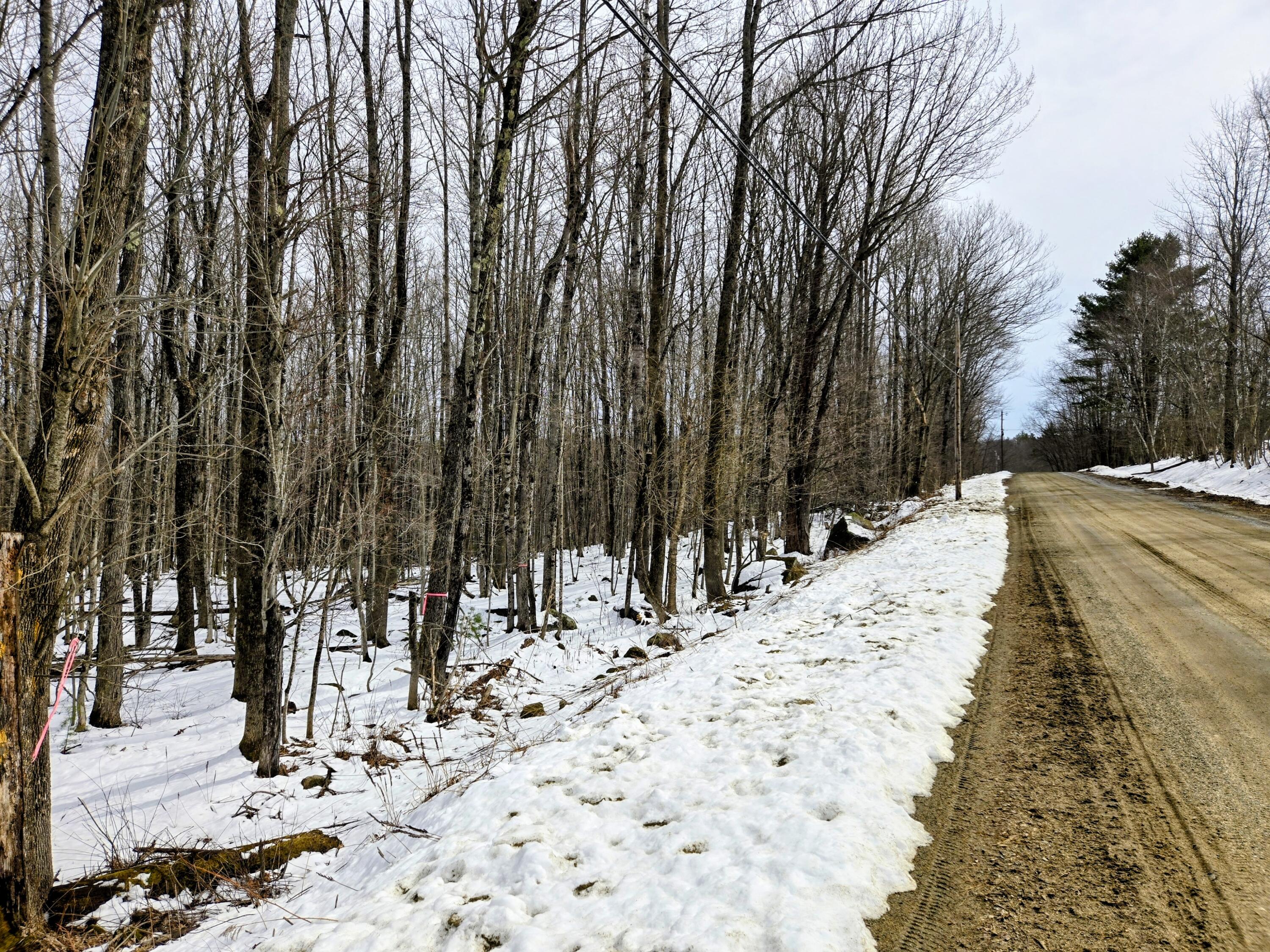 Lot 26 Canton Mountain Road Jay, ME 04239 - Photo 23 of 25 Lot 26 Canton Mountain Road