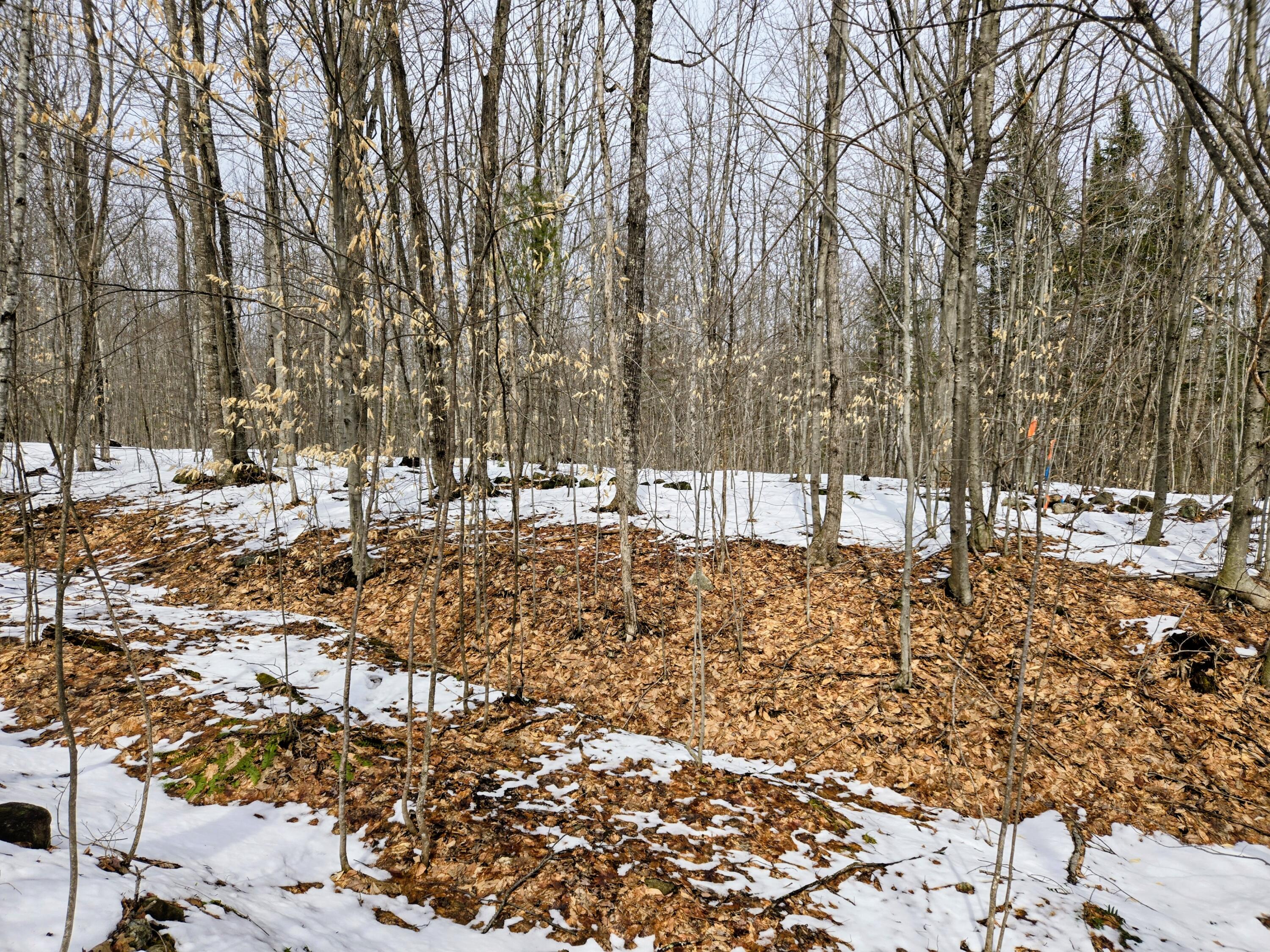 Lot 26 Canton Mountain Road Jay, ME 04239 - Photo 24 of 35 Lot 26 Canton Mountain Road