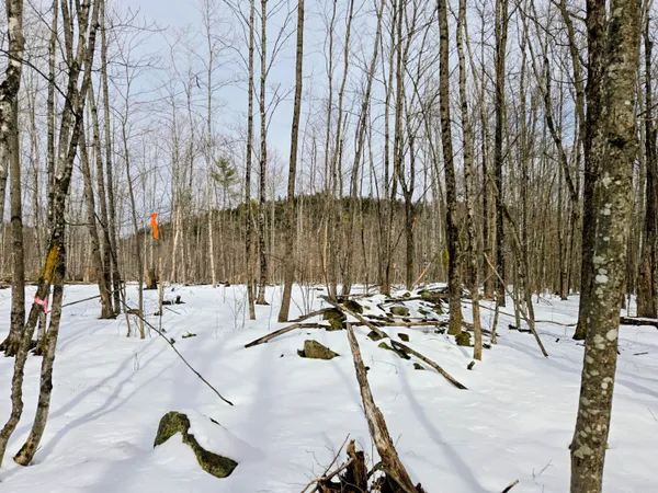 $45,000 | Lot 26 Canton Mountain Road, Jay, ME 04239