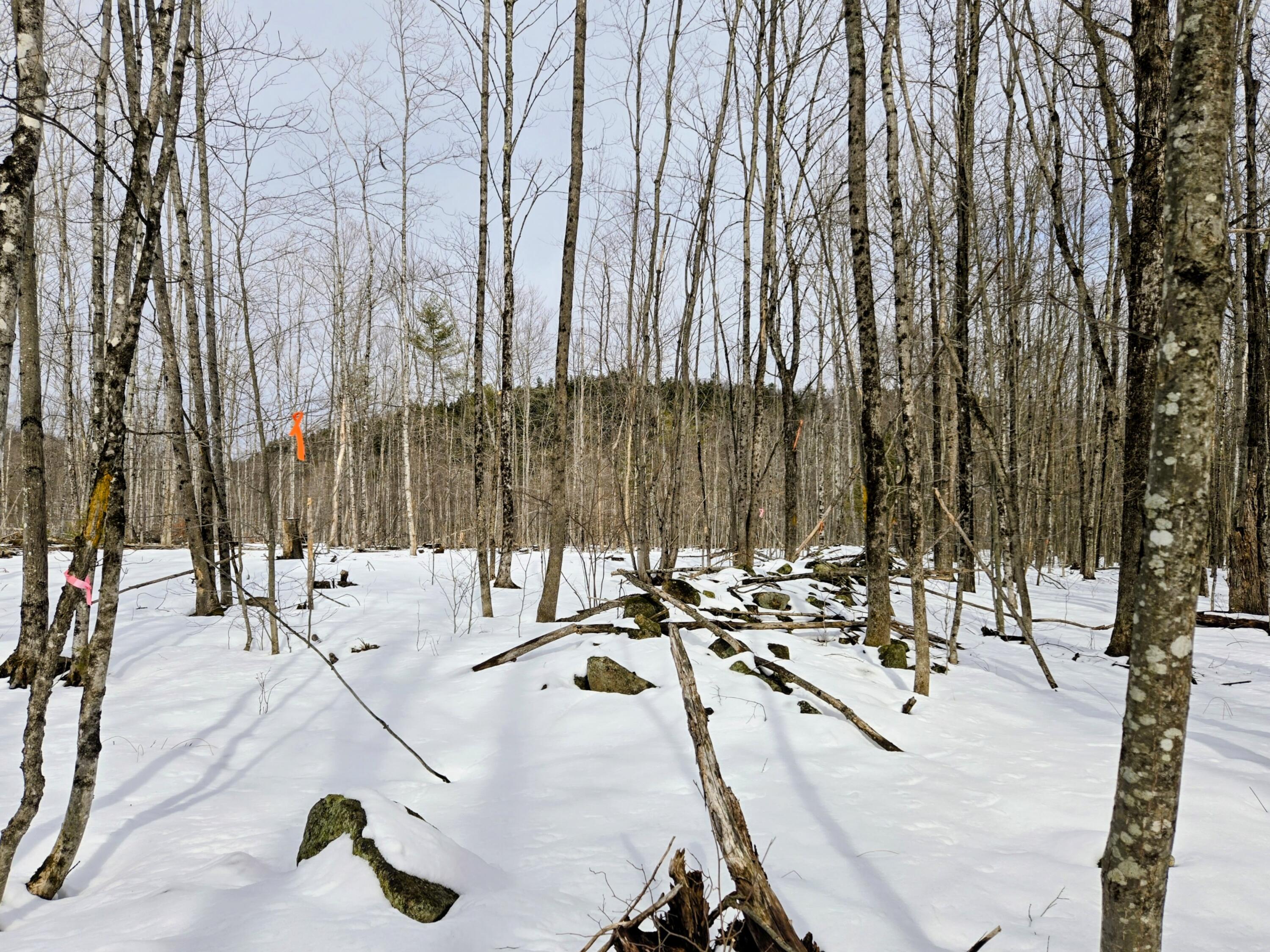 Lot 26 Canton Mountain Road Jay, ME 04239 - Photo 3 of 25 Lot 26 Canton Mountain Road