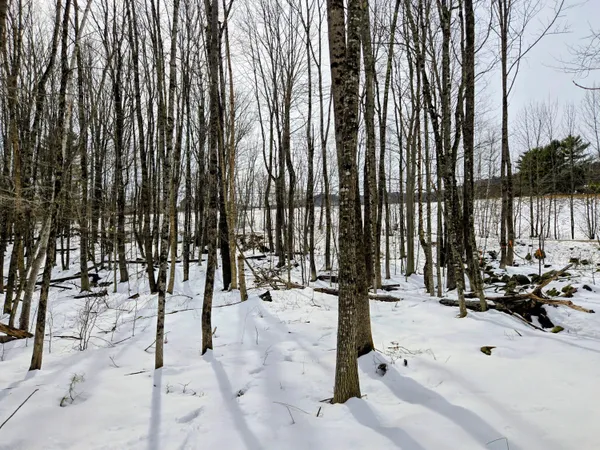 $45,000 | Lot 26 Canton Mountain Road, Jay, ME 04239