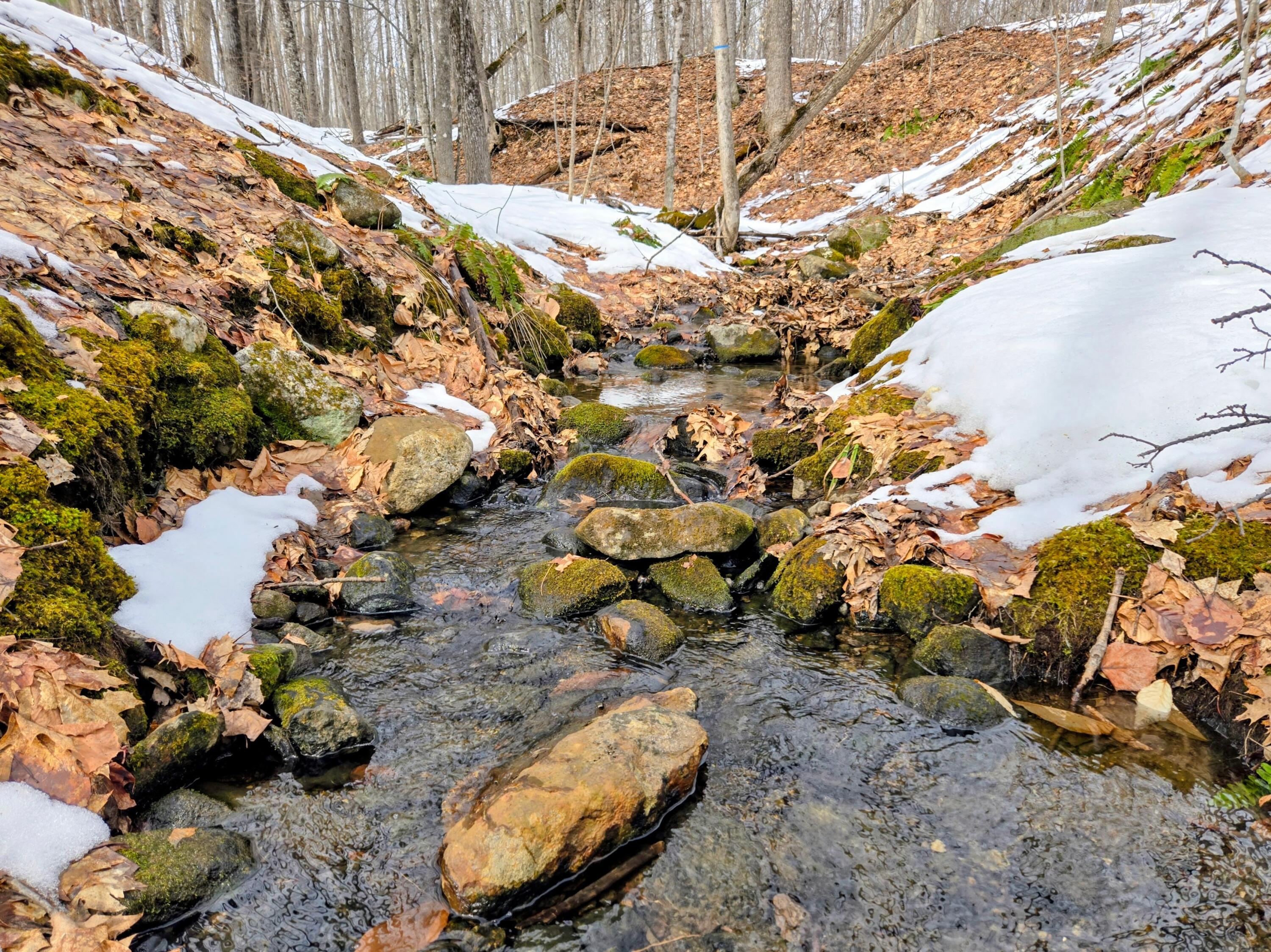 Lot 26 Canton Mountain Road Jay, ME 04239 - Photo 6 of 25 Lot 26 Canton Mountain Road
