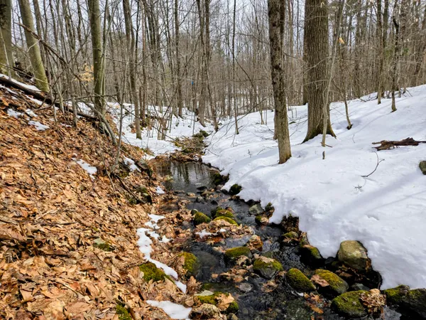 $45,000 | Lot 26 Canton Mountain Road, Jay, ME 04239