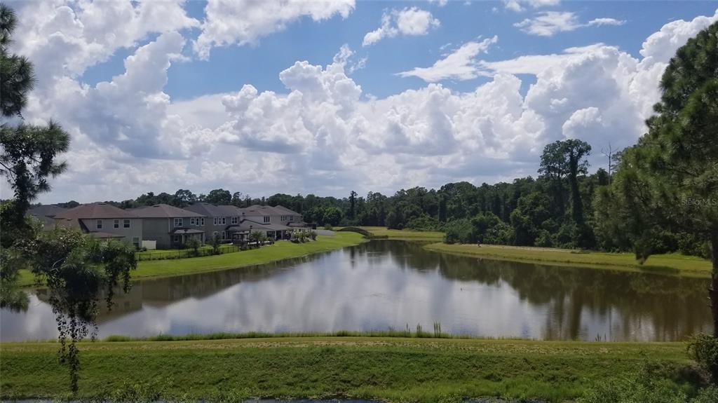 5160 Conroy Road, Unit 1437 Orlando, FL 32811 - Photo 3 of 36 a view of a lake with houses in the back