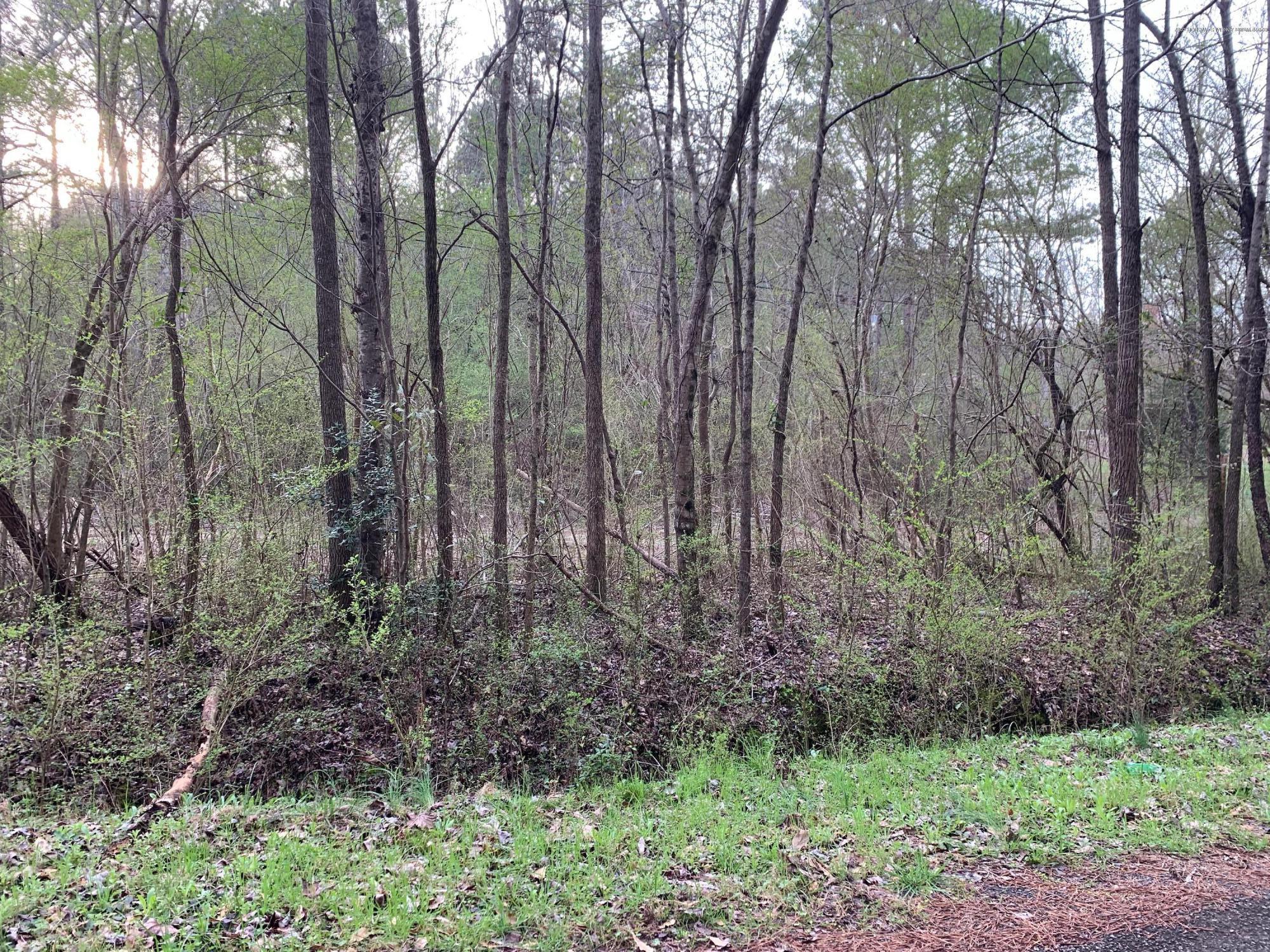 Rufus Tubbs Road Jasper, AL 35501 - Photo 1 of 1 Gallery Image 1