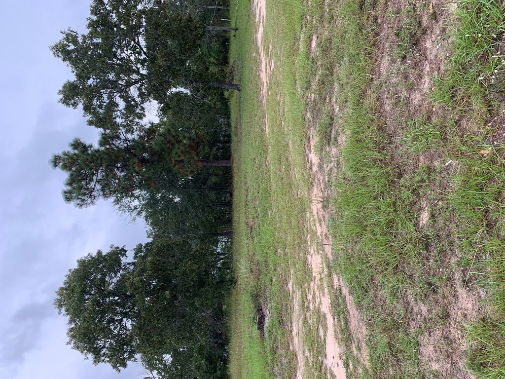 4514 Etterle Road Blythe, GA 30805 - Photo 4 of 6
