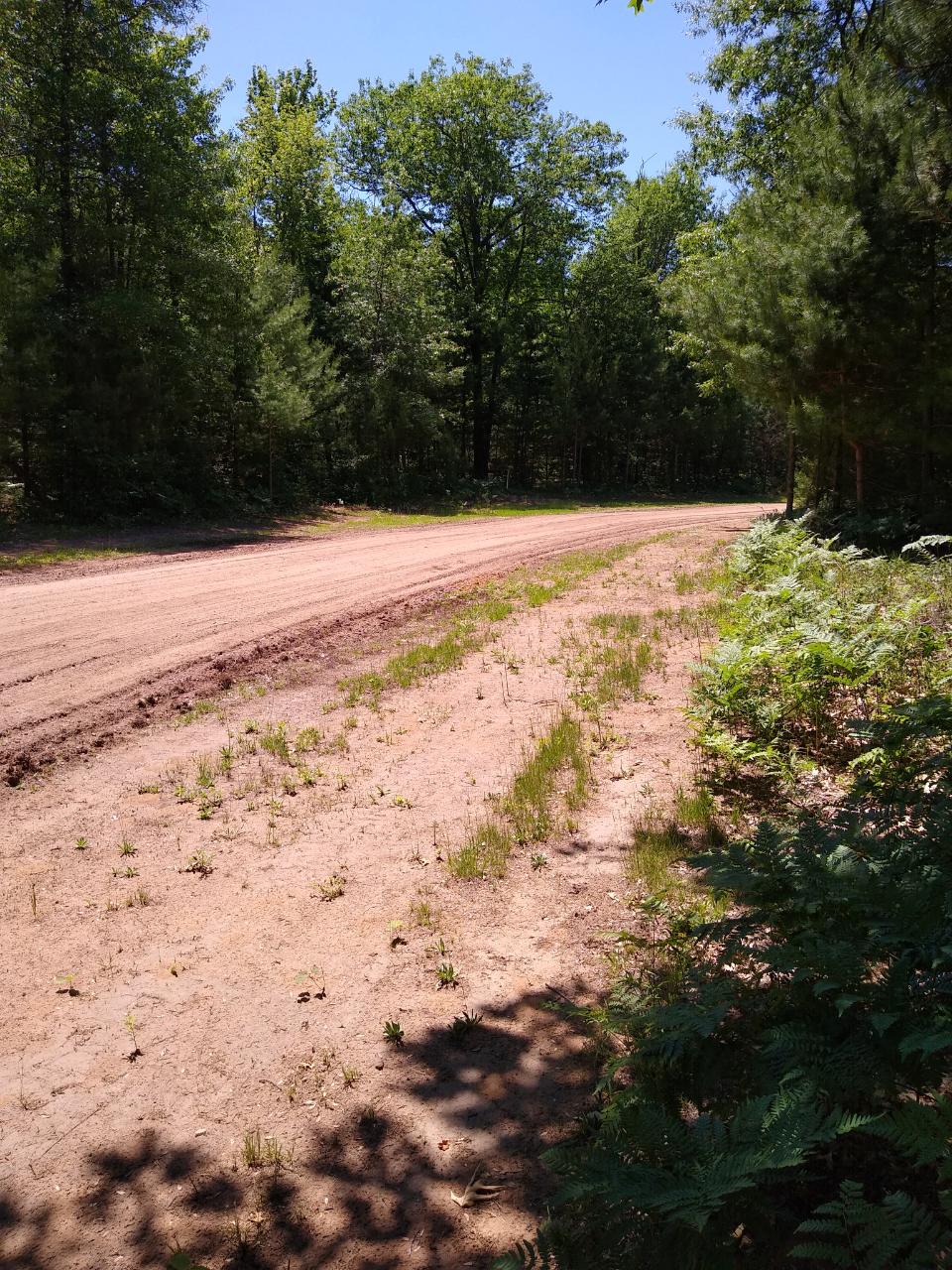Lot #6 Fawn Rdg Lane Eagle River, WI 54521 - Photo 2 of 7 Gallery Image 2