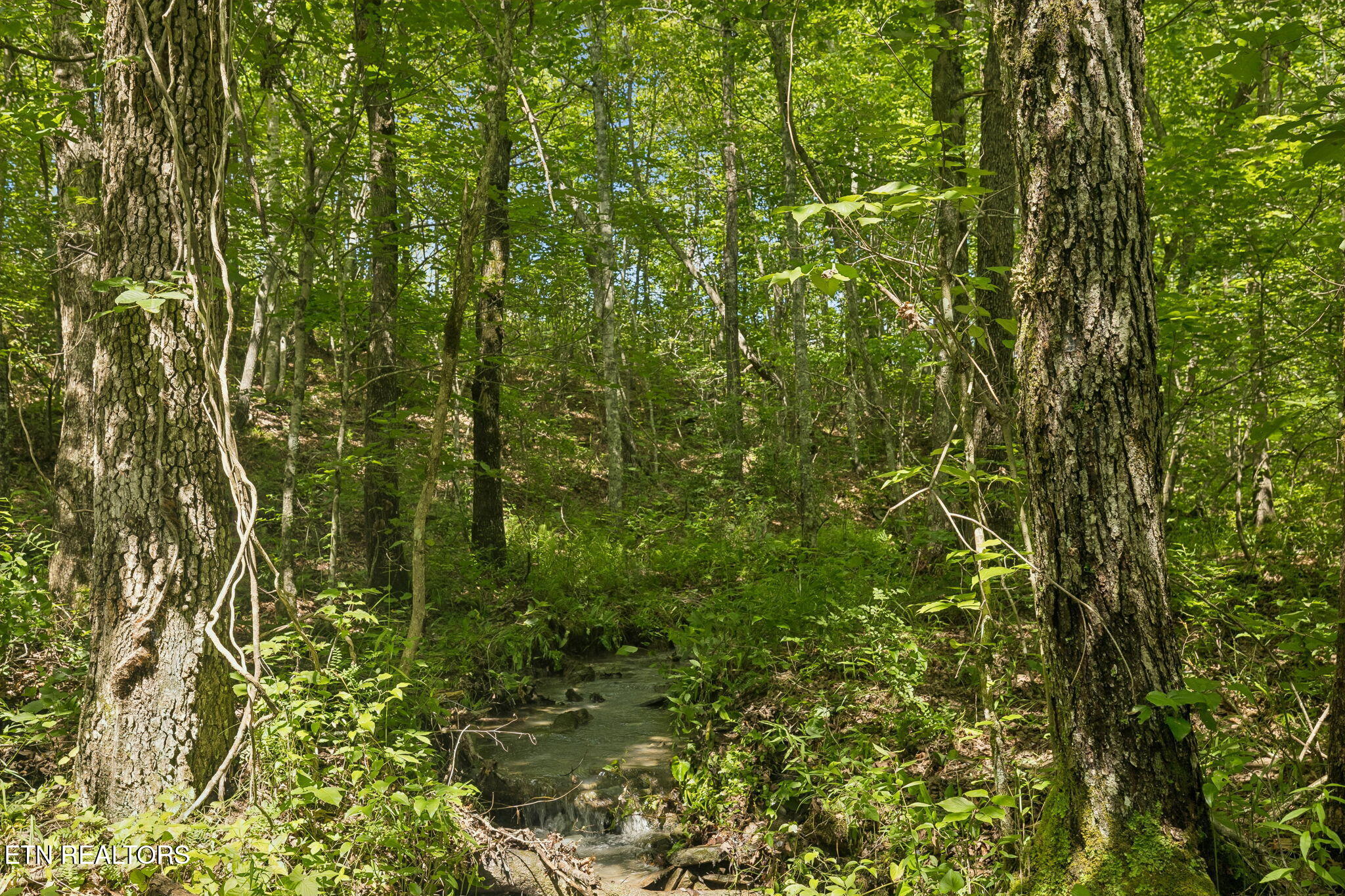 Sheep Ranch Road, Unit 24 Robbins, TN 37852 - Photo 21 of 33 10-Sheep Ranch Rd-010
