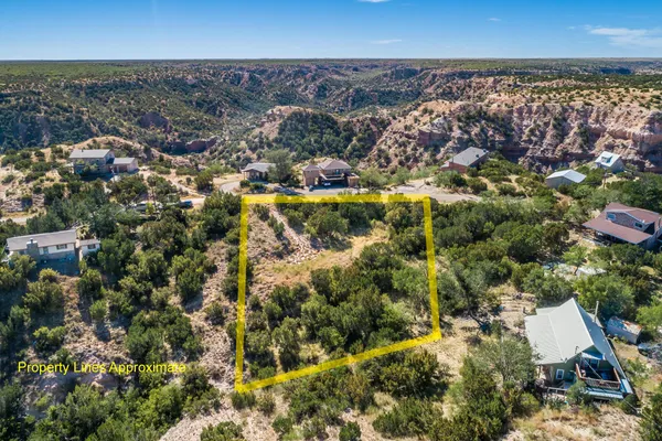 an aerial view of a residential houses with city view