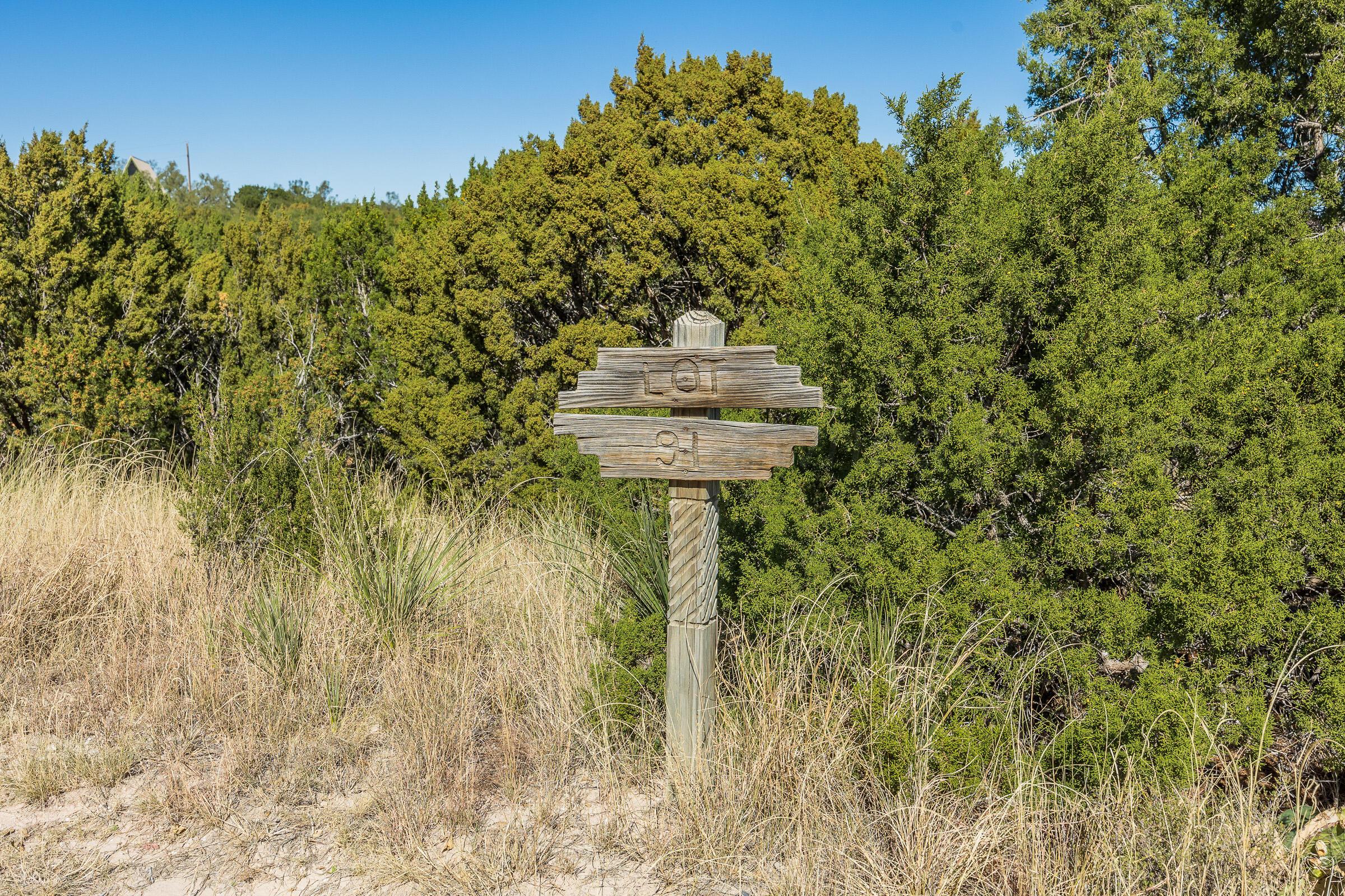 0 Valley View Drive Canyon, TX 79015 - Photo 8 of 10 a view of a garden