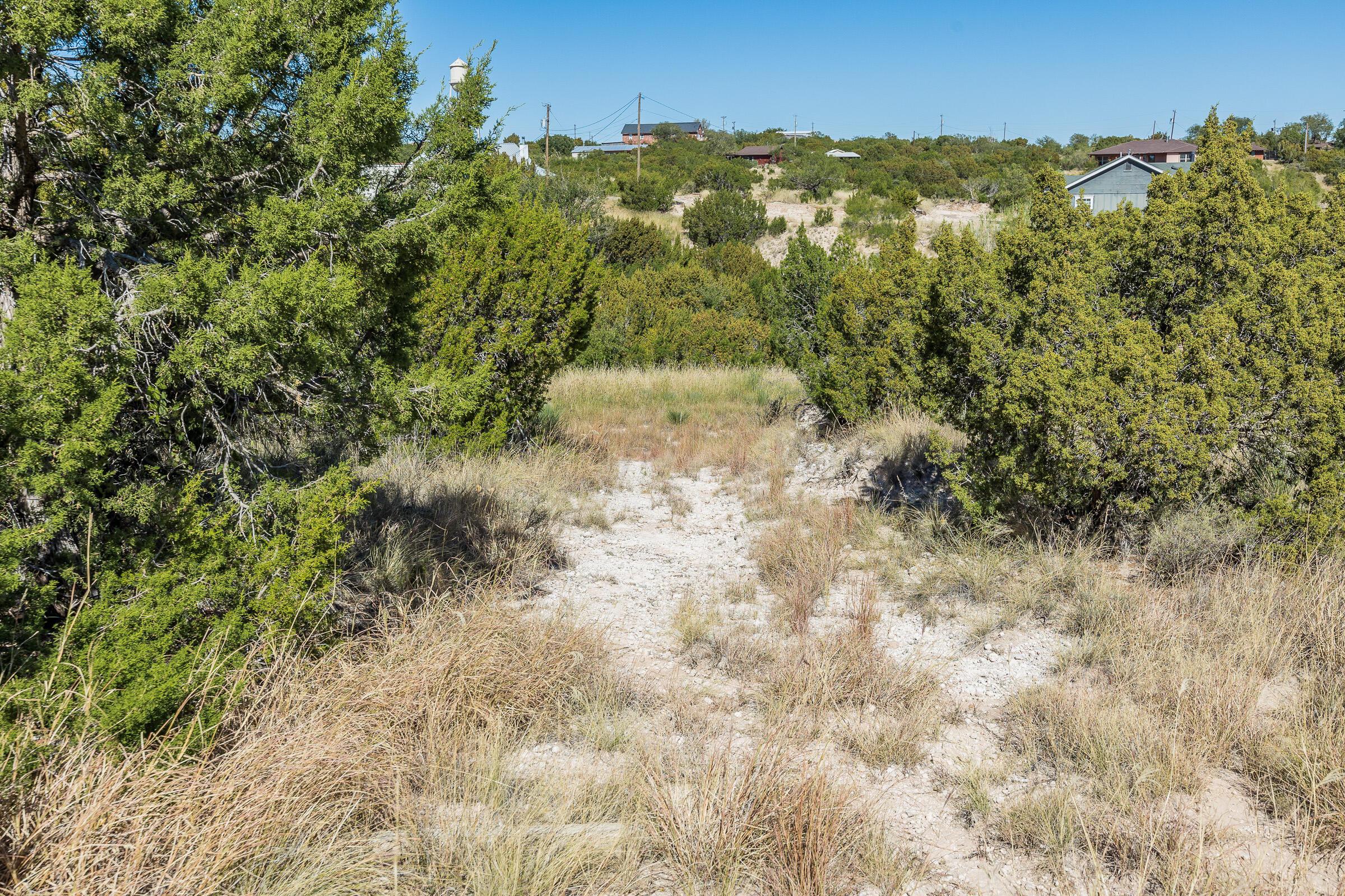 0 Valley View Drive Canyon, TX 79015 - Photo 10 of 10 a view of a yard