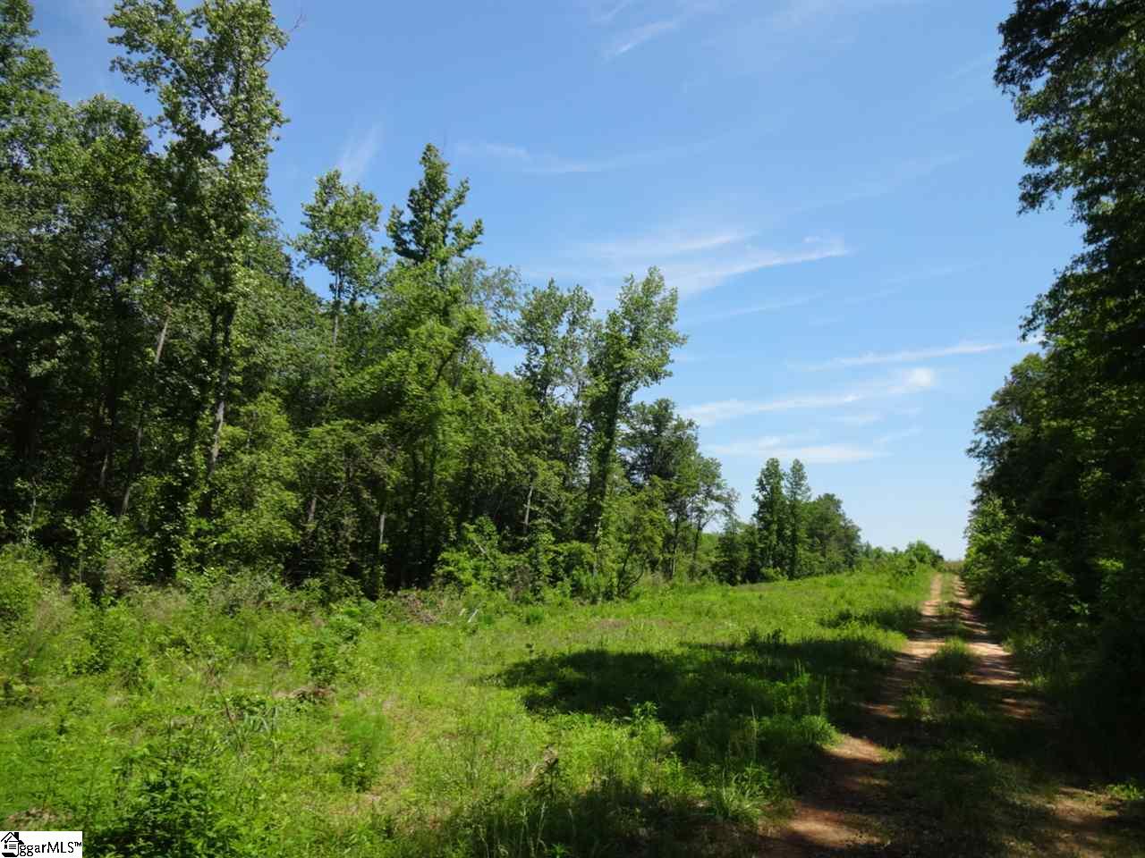 Spearman Road Pelzer, SC 29669 - Photo 11 of 27