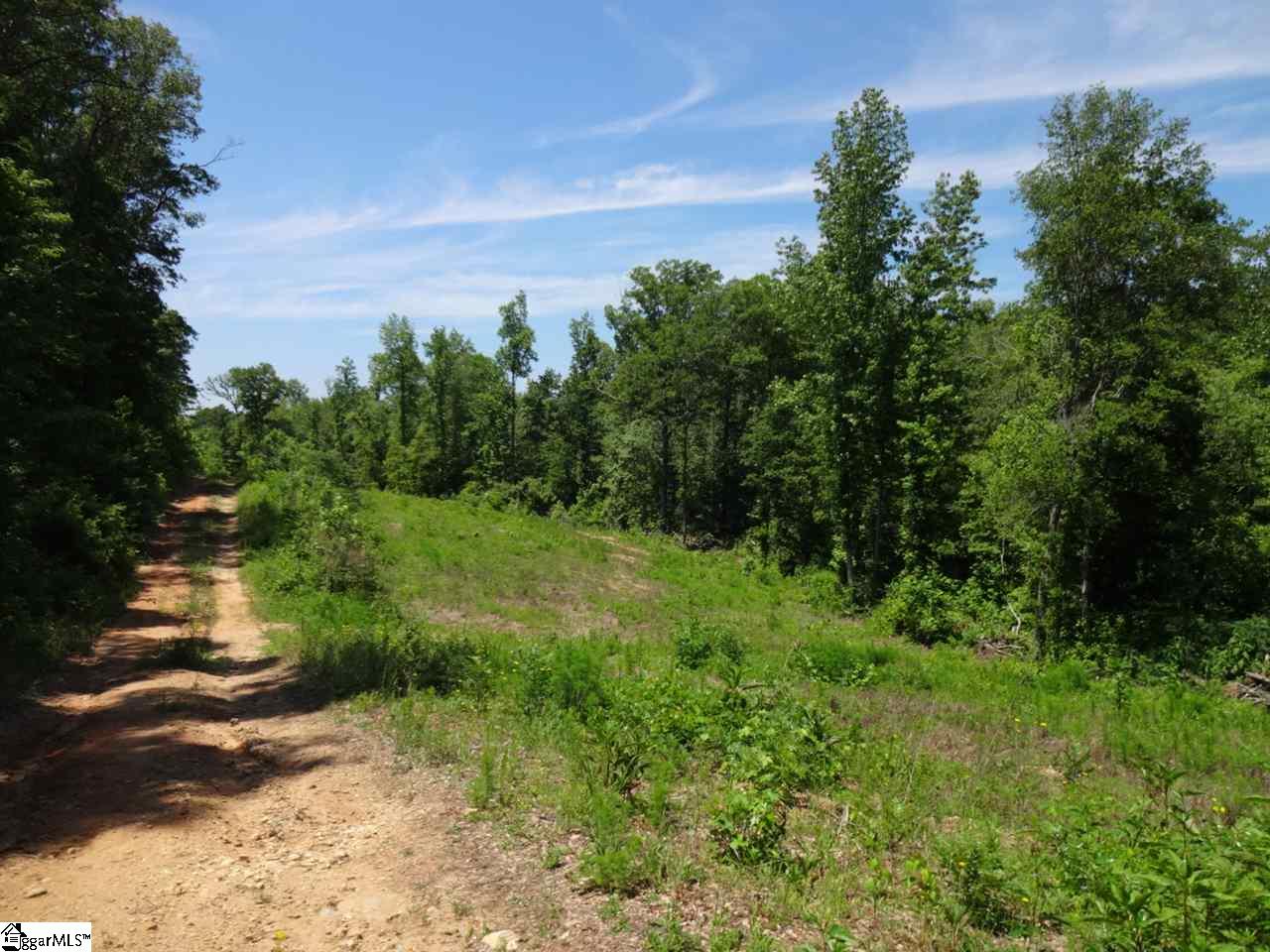 Spearman Road Pelzer, SC 29669 - Photo 12 of 27