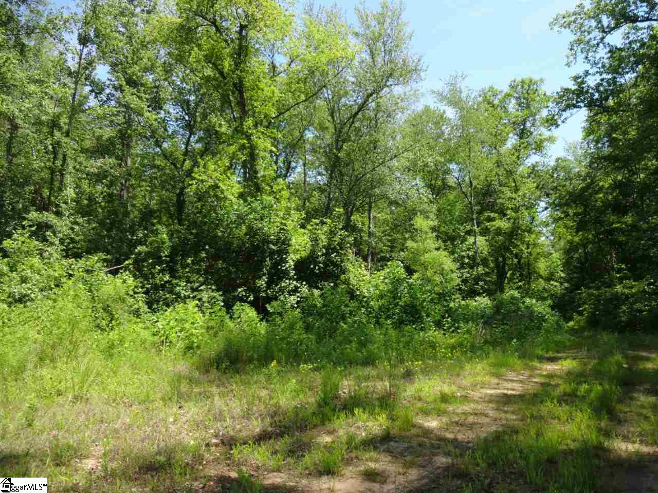 Spearman Road Pelzer, SC 29669 - Photo 13 of 27